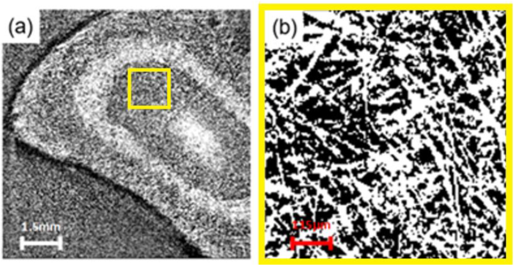 Membranes 13 00718 g003