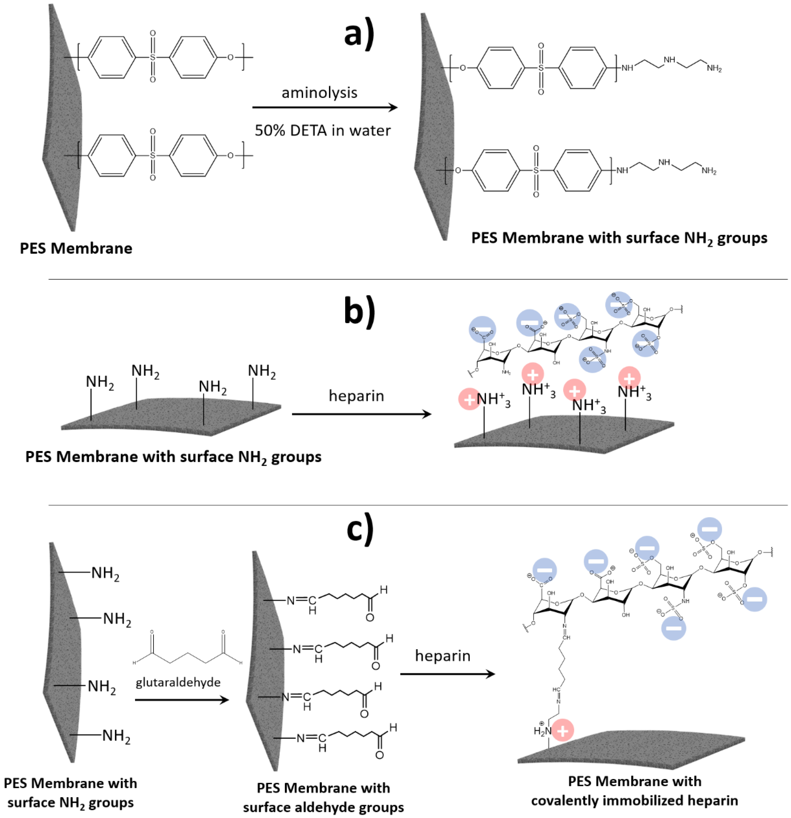 Membranes 13 00718 g005