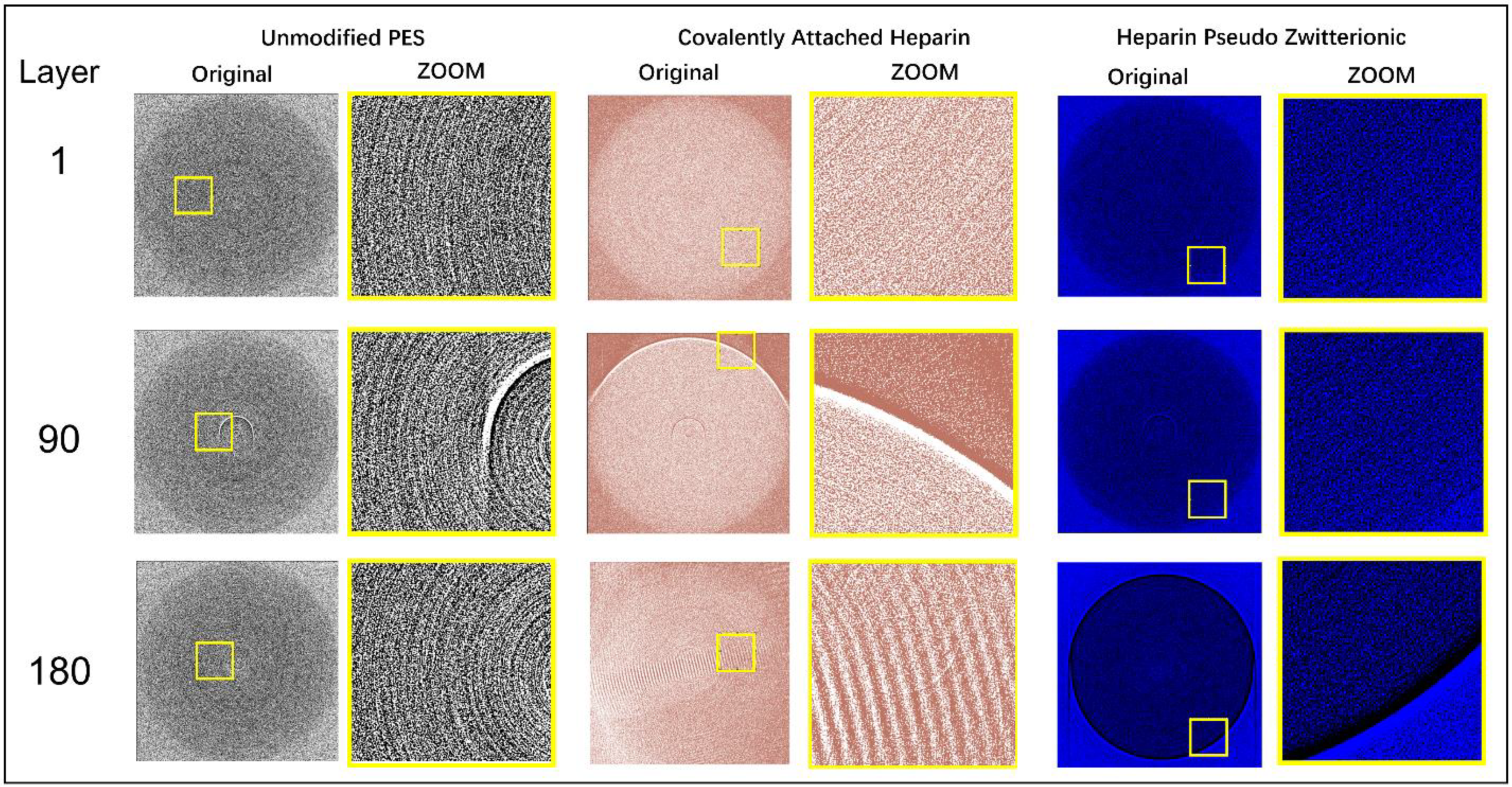 Membranes 13 00718 g012