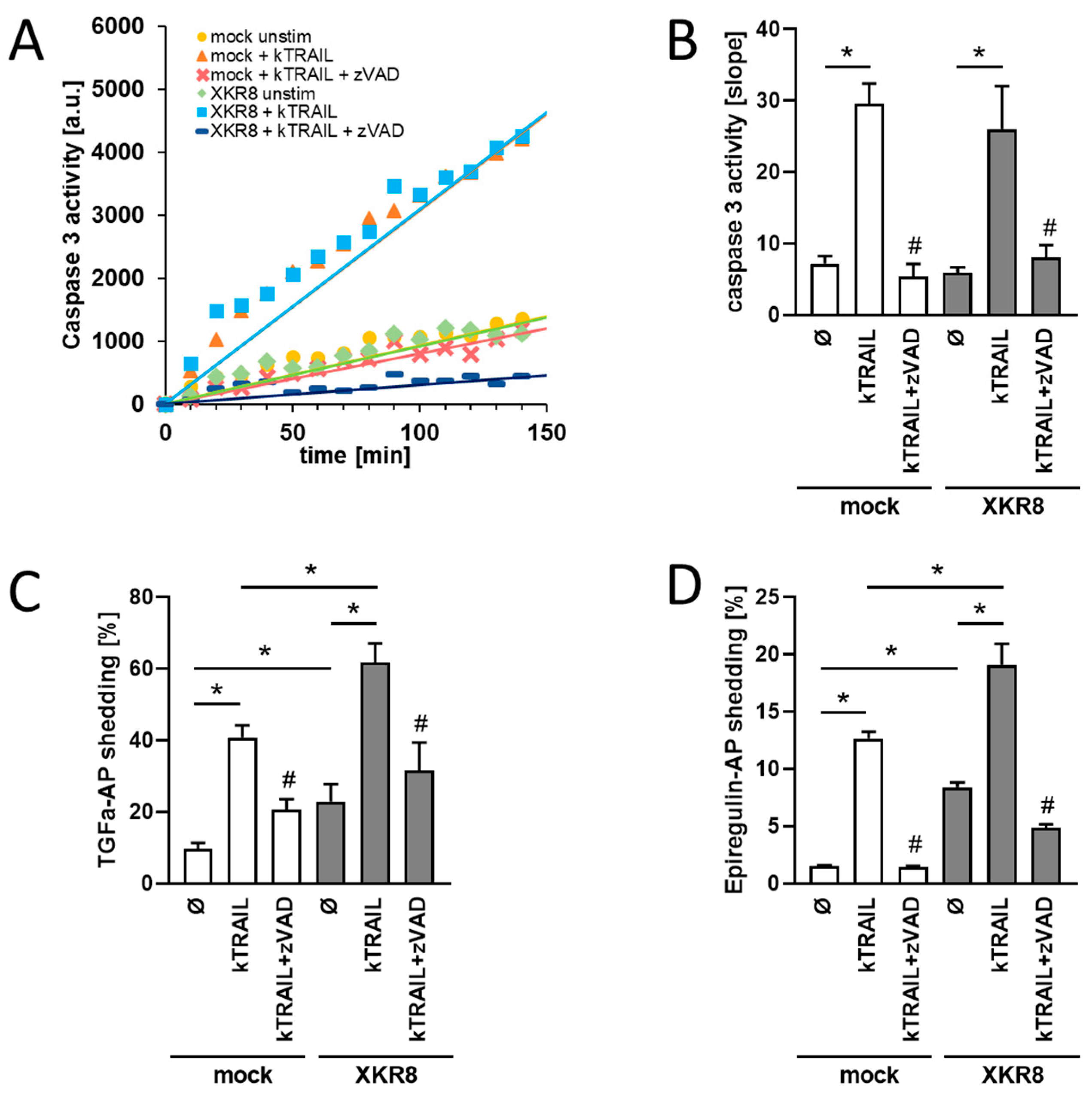 Membranes 13 00720 g001