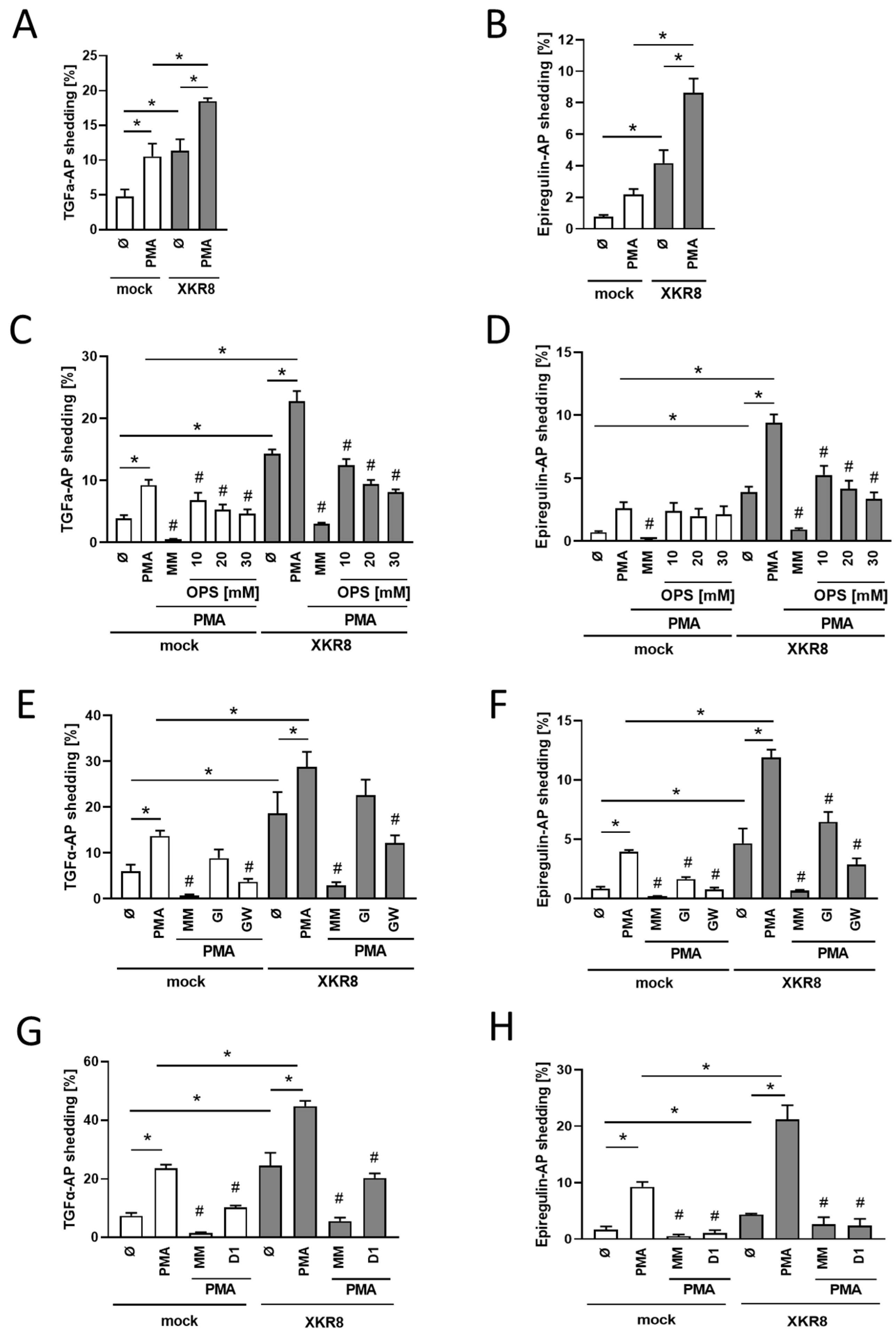 Membranes 13 00720 g002