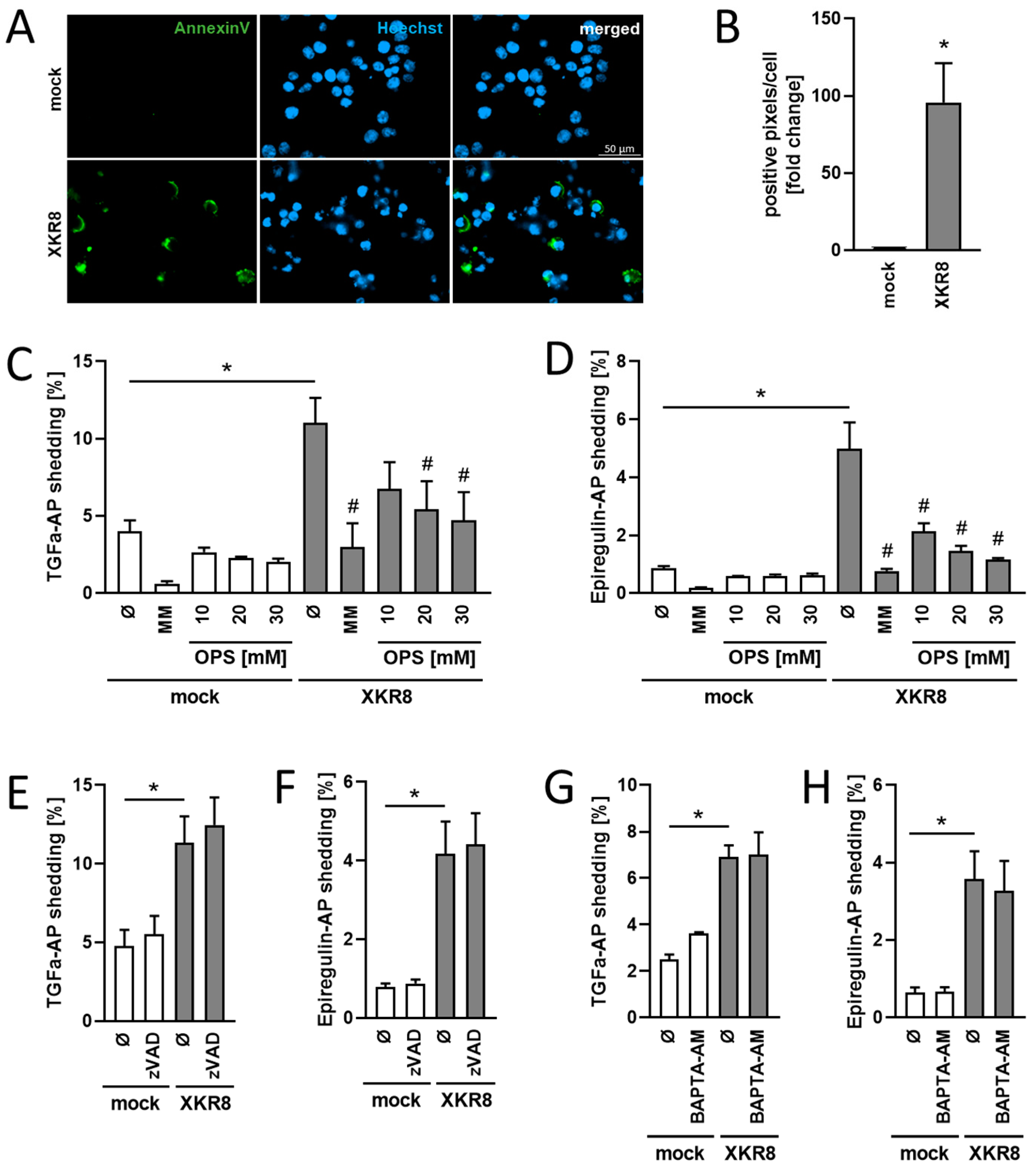 Membranes 13 00720 g003