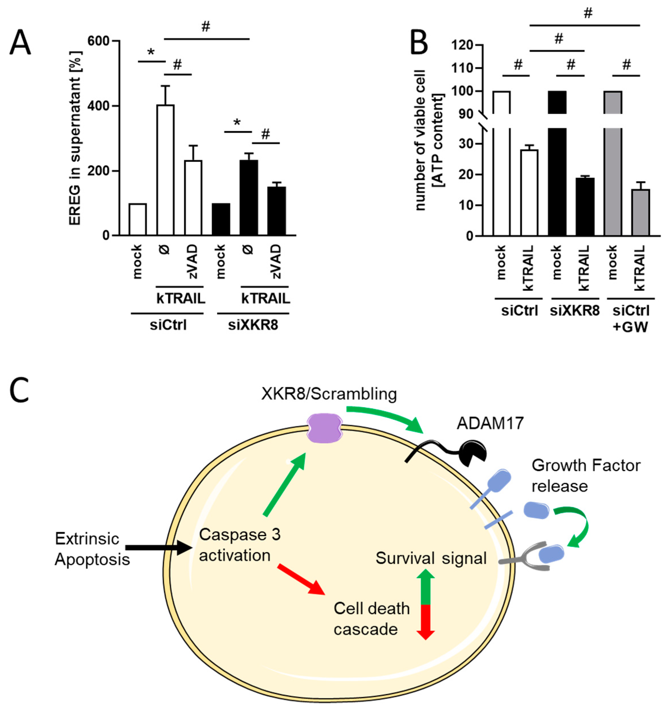 Membranes 13 00720 g005