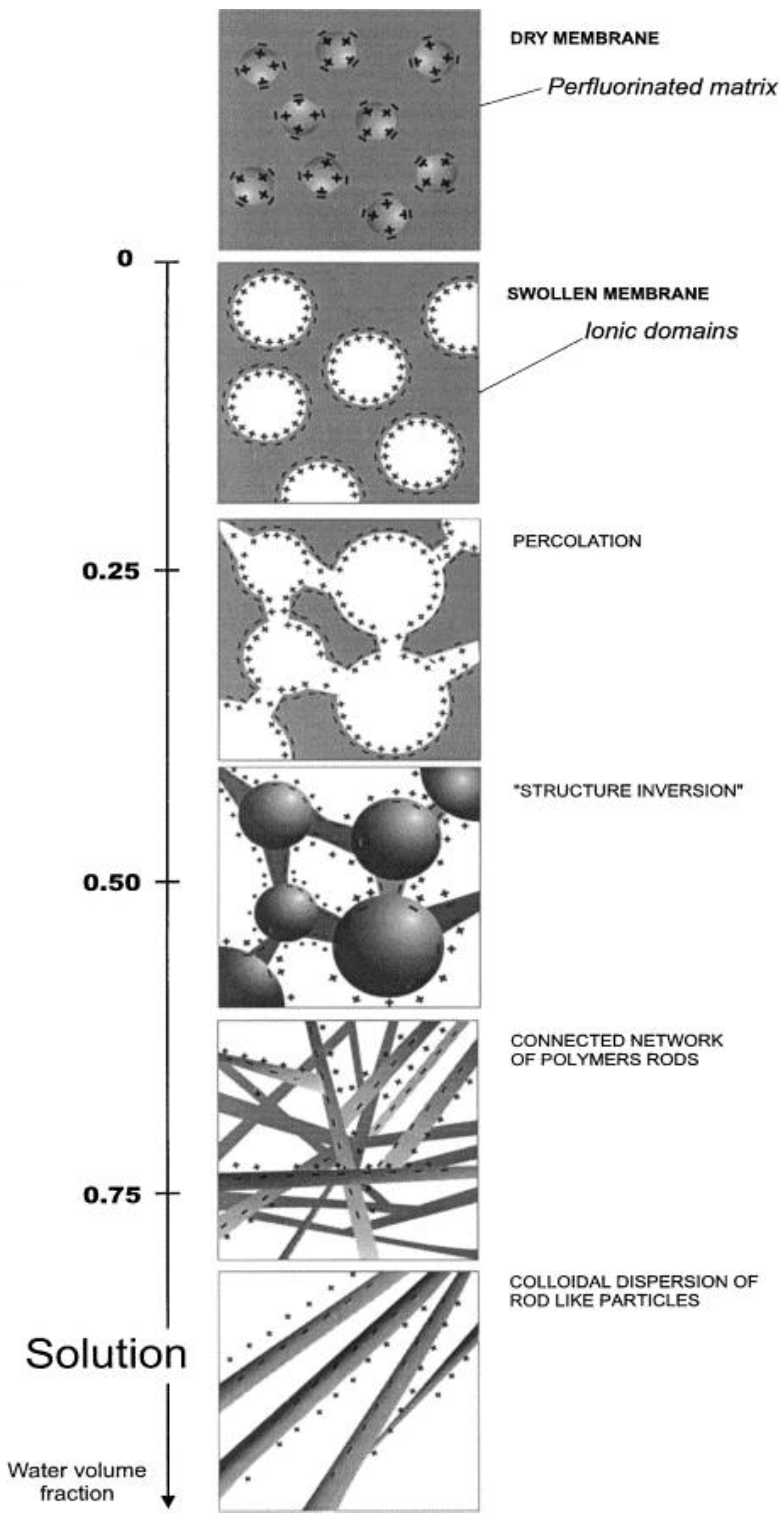 Membranes 13 00721 g004
