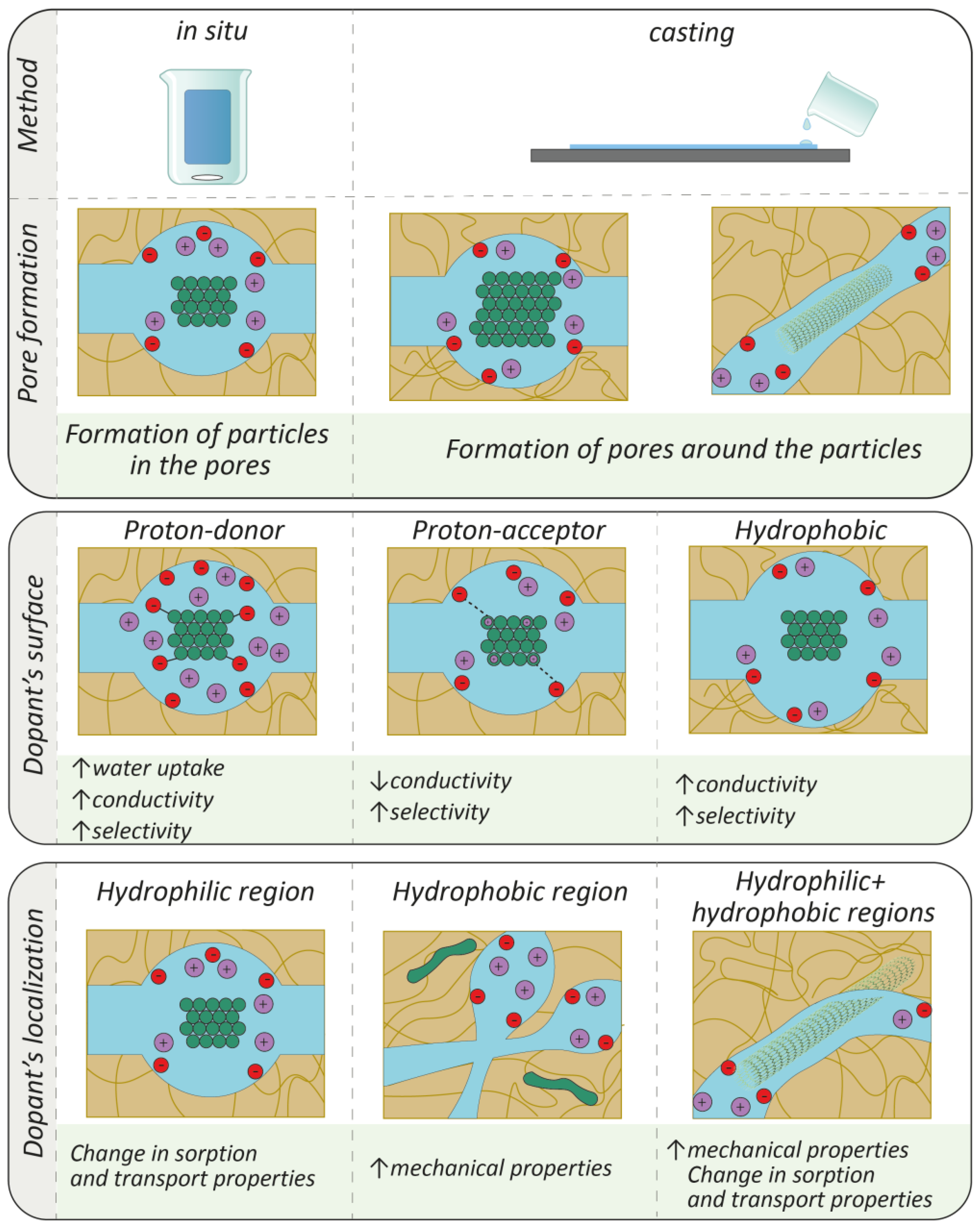 Membranes 13 00721 g006