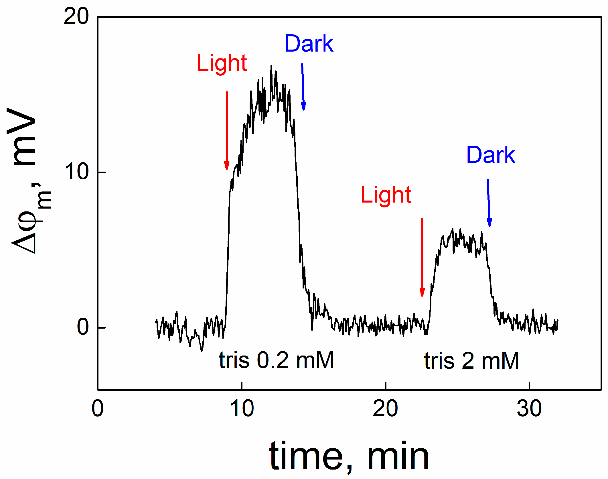Membranes 13 00722 g008