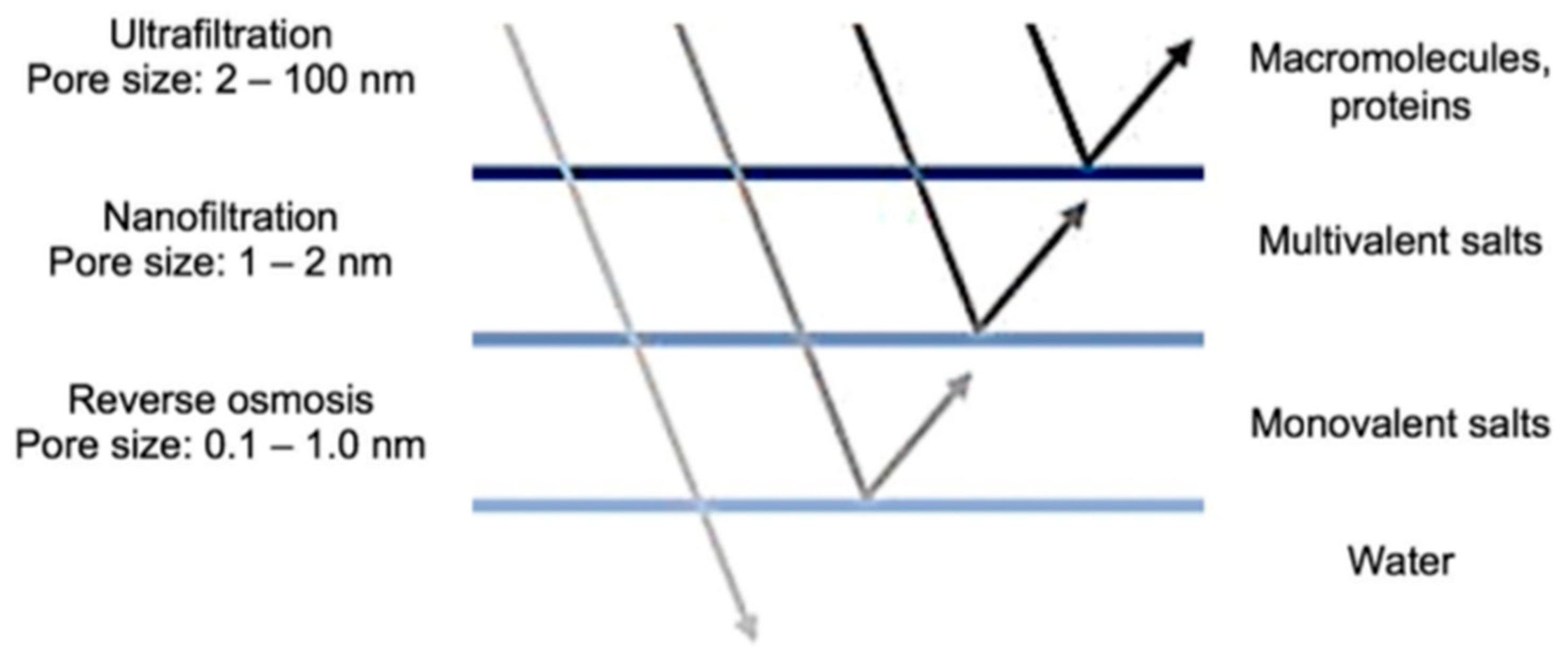 Membranes 13 00724 g001 Membranes 13 00724 g001