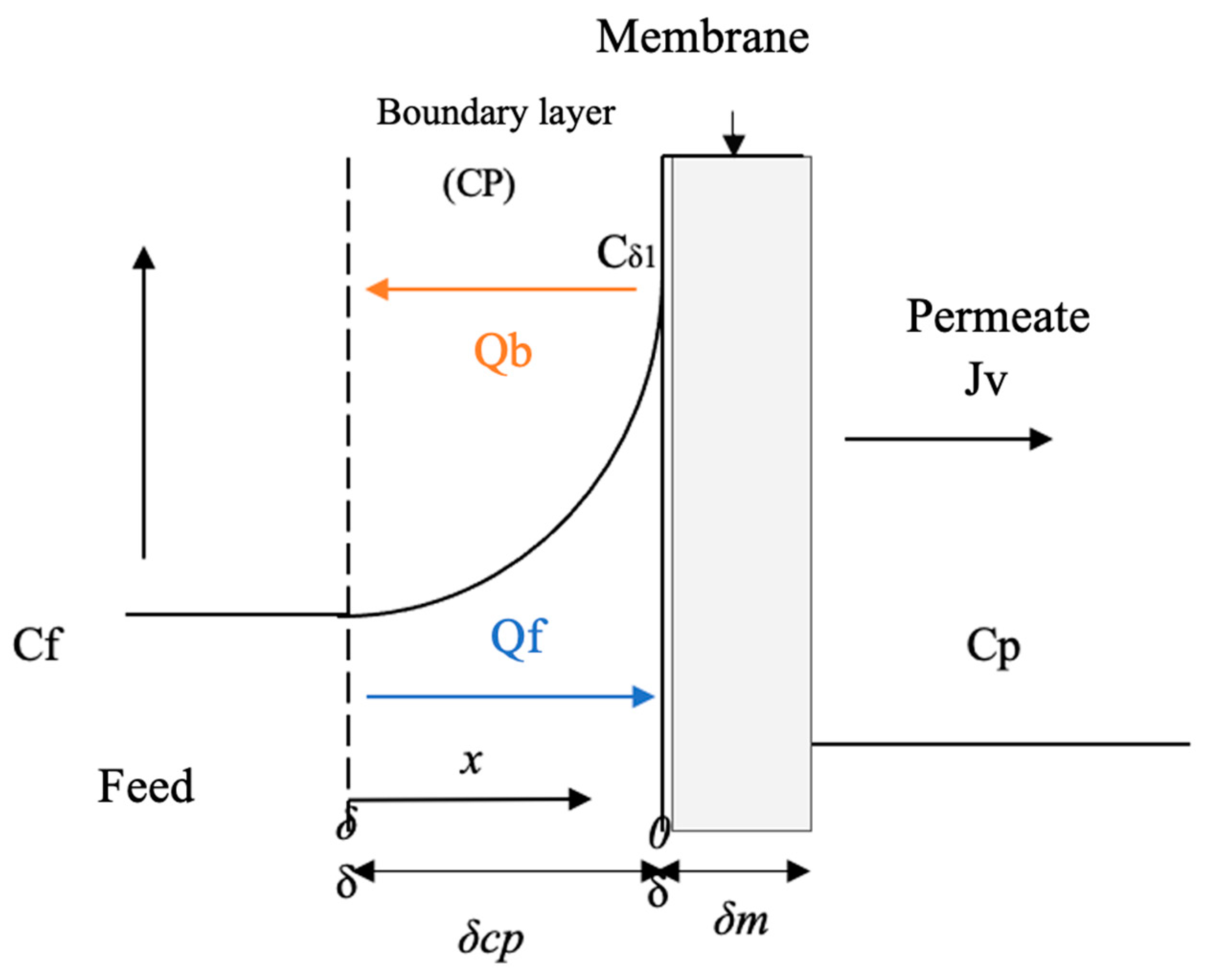 Membranes 13 00724 g002 Membranes 13 00724 g002