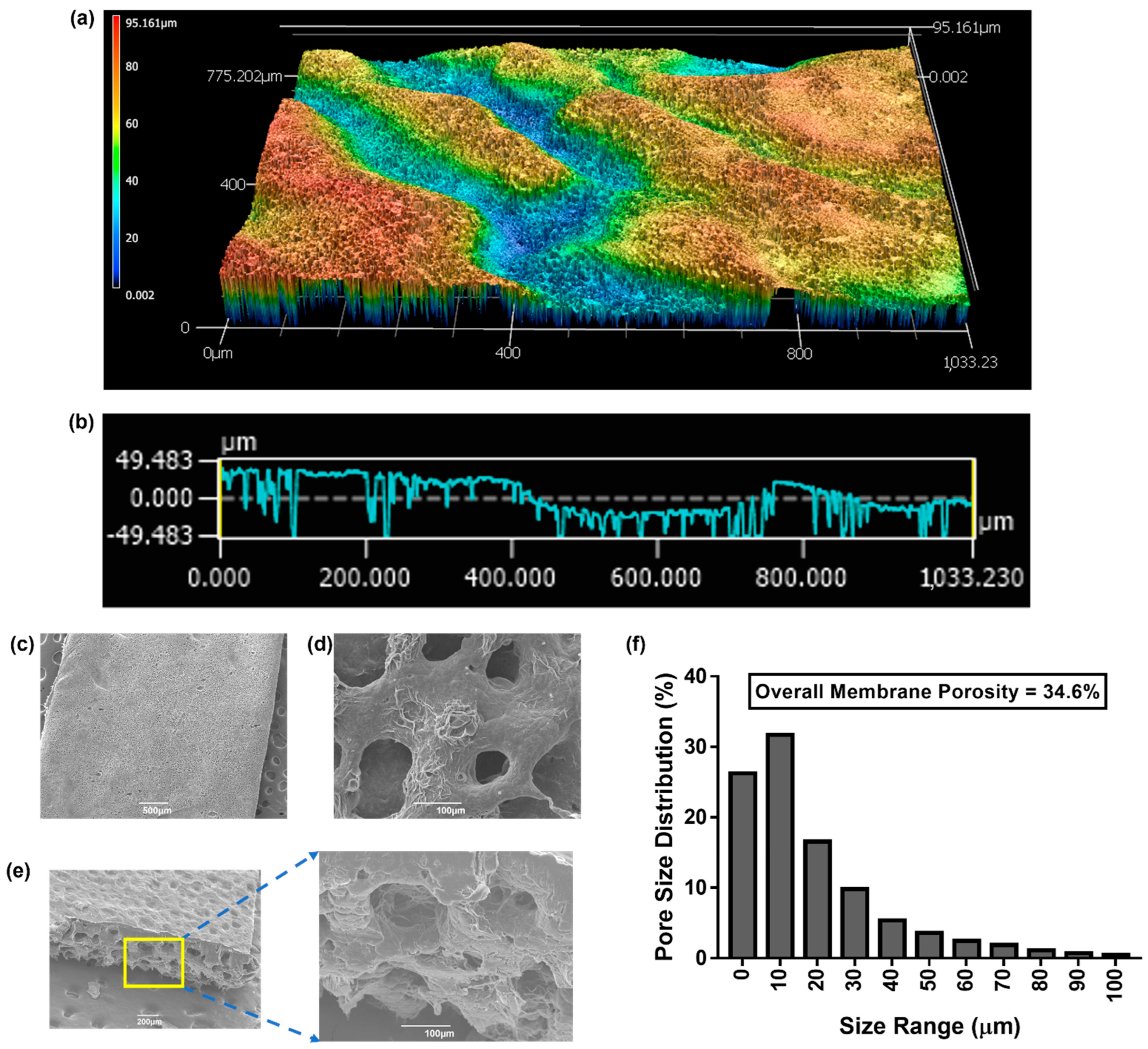 Membranes 13 00728 g003