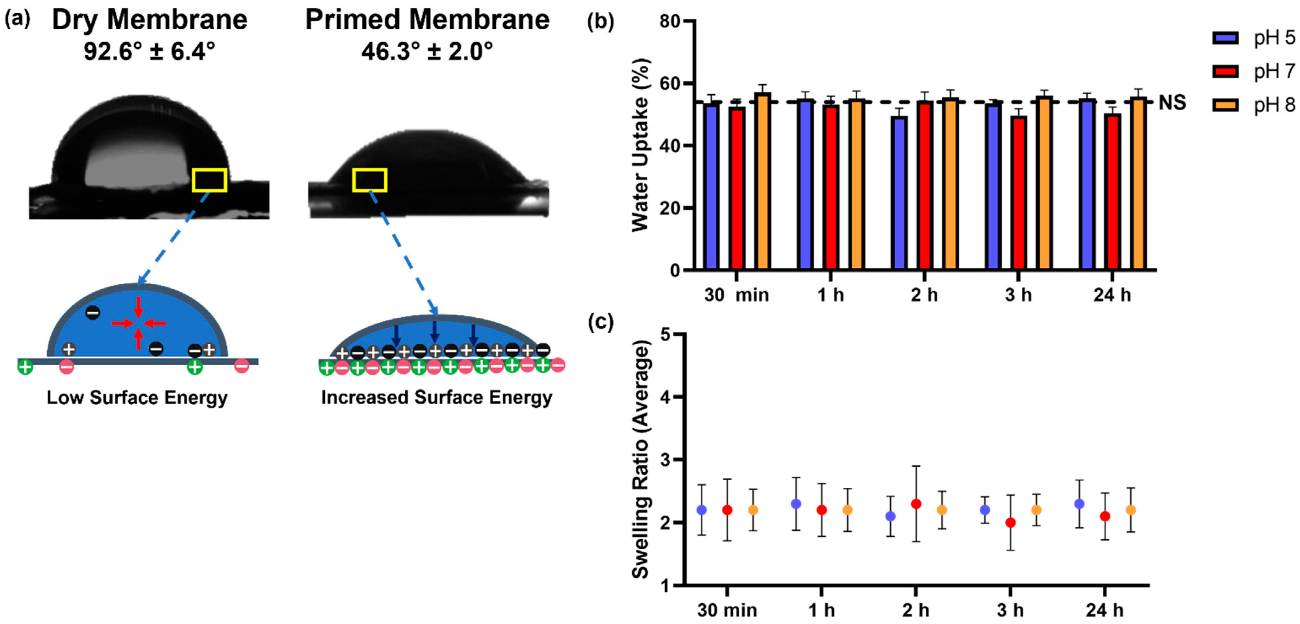 Membranes 13 00728 g004