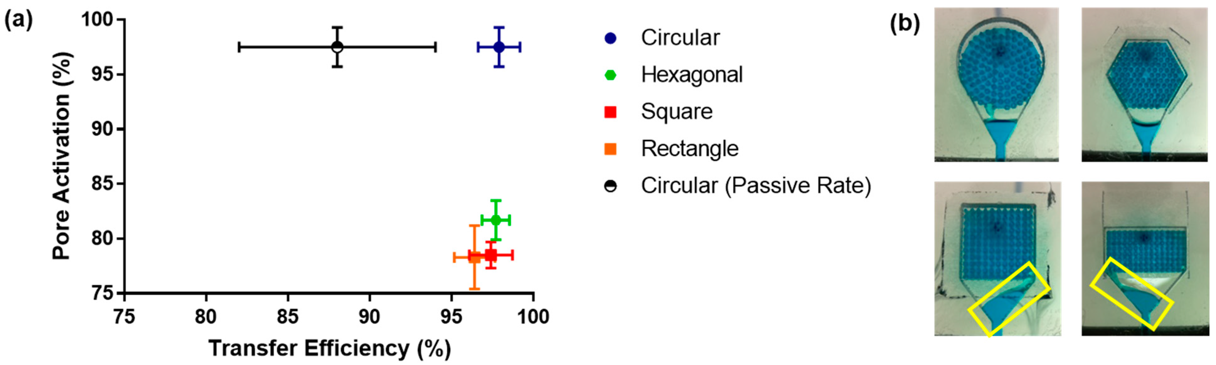 Membranes 13 00728 g005