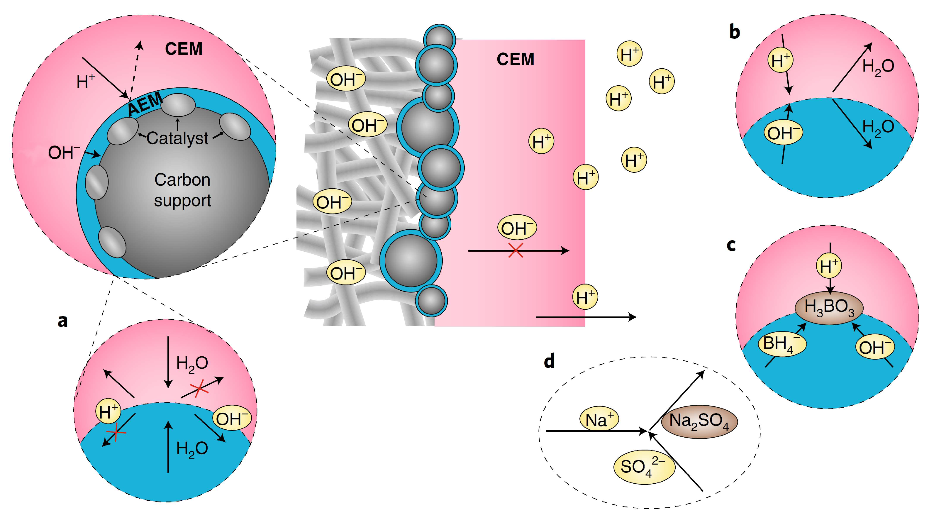 Membranes 13 00730 g002