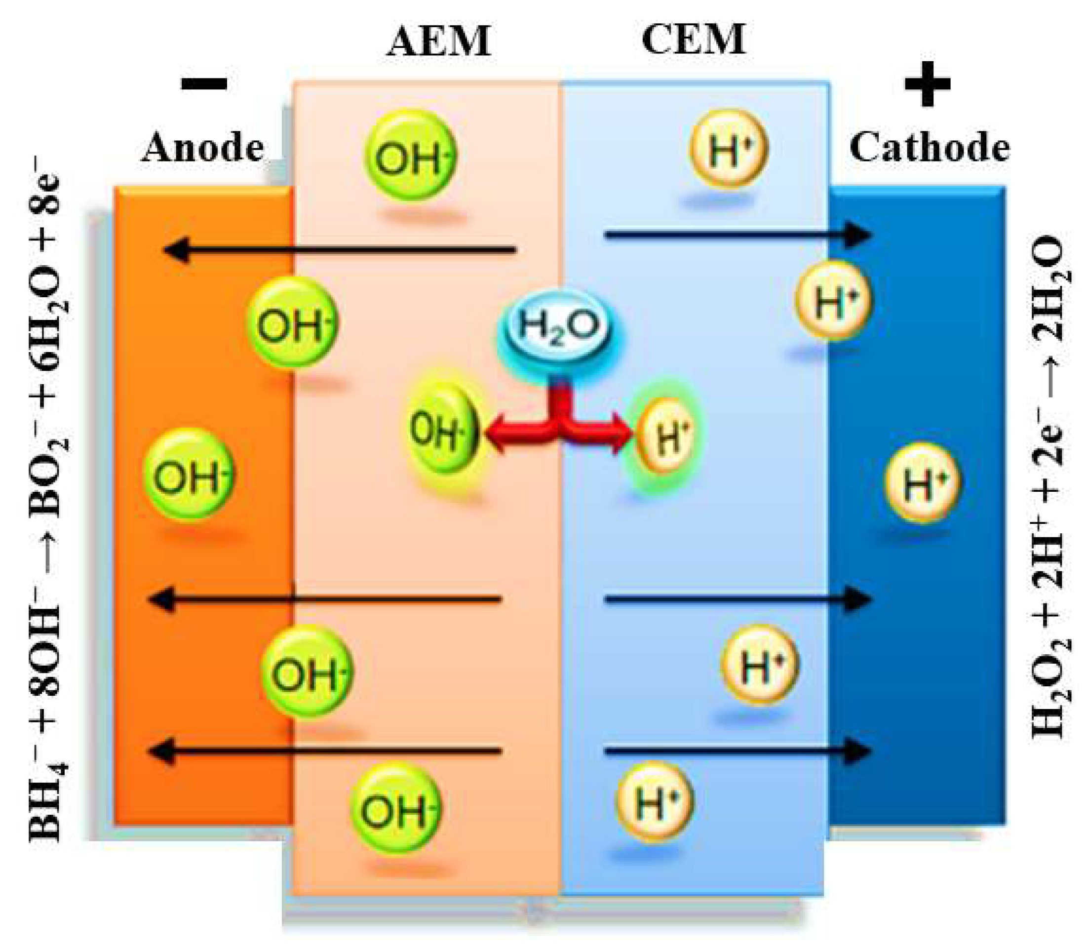 Membranes 13 00730 g003