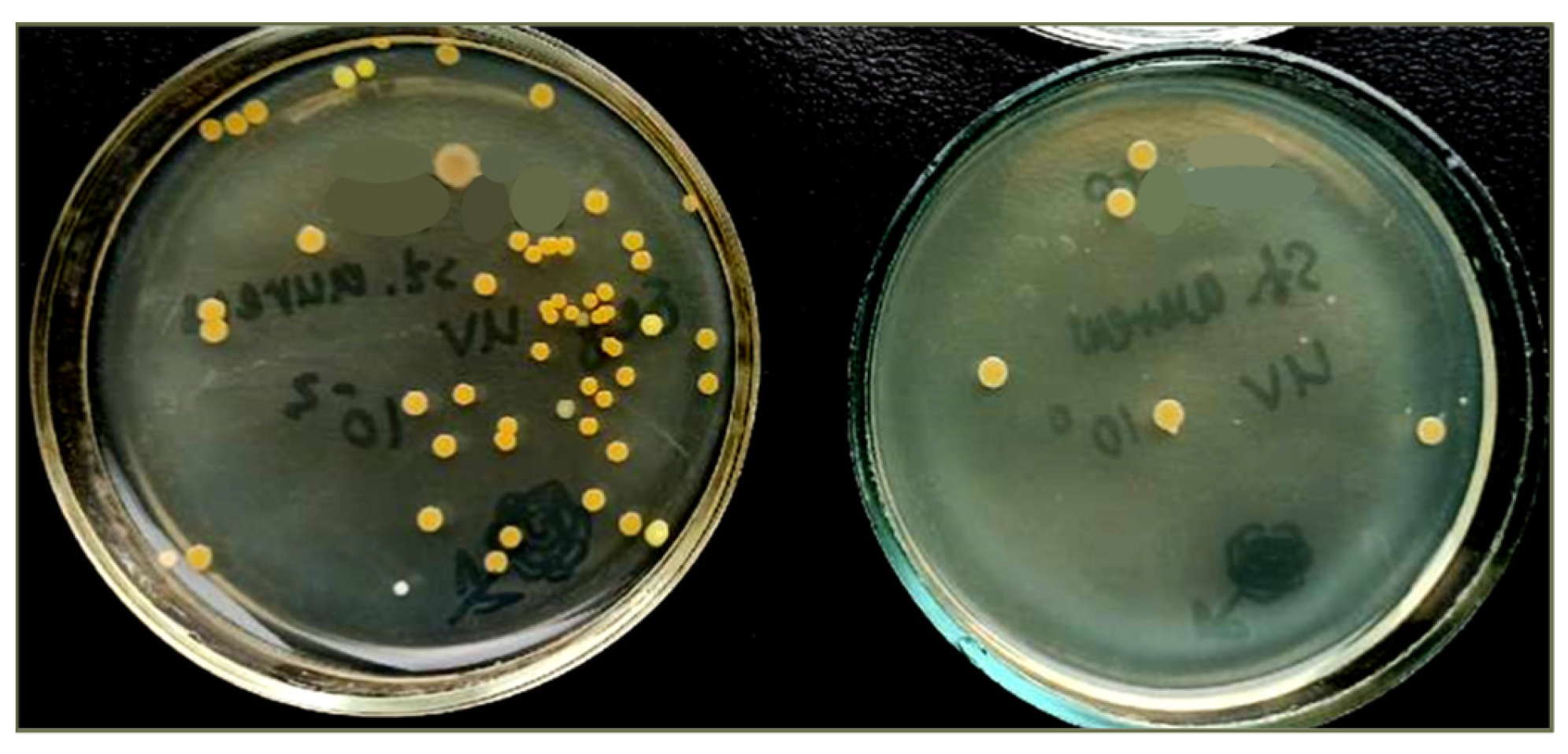 Membranes 13 00733 g008 Membranes 13 00733 g008