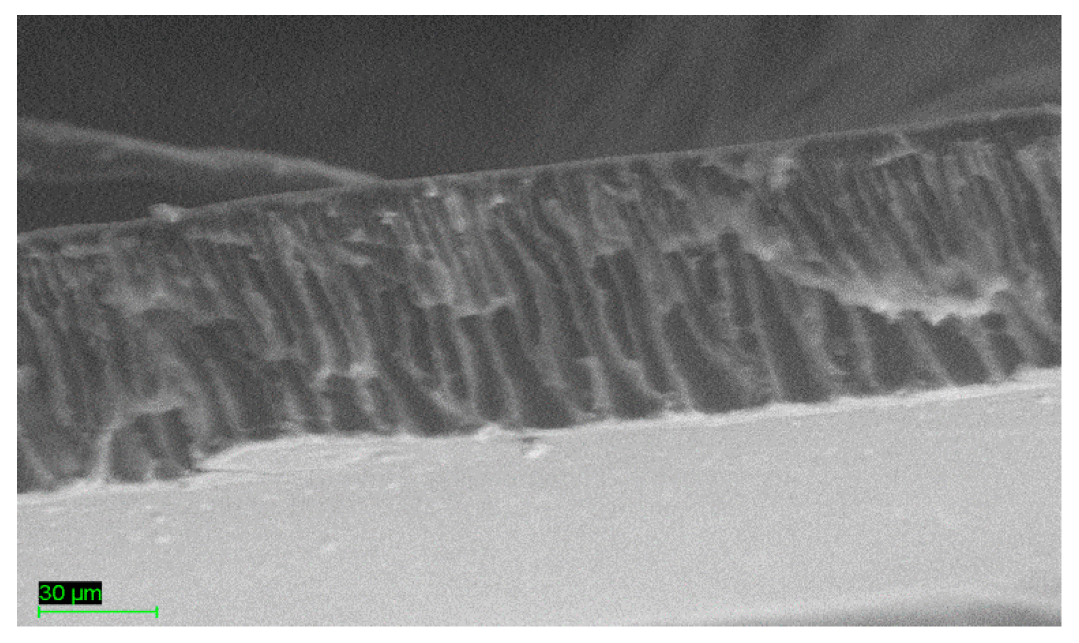 Membranes 13 00734 g002 Membranes 13 00734 g002