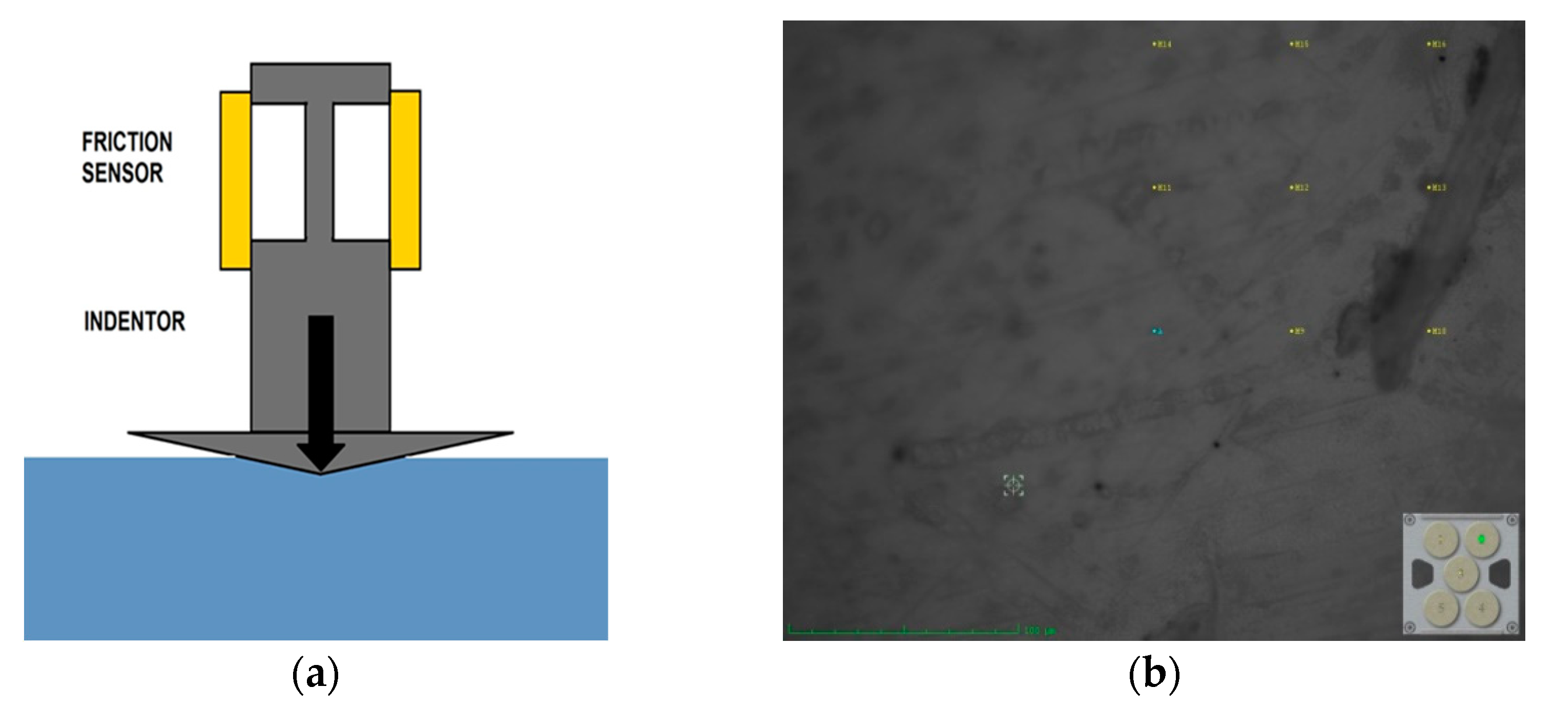 Membranes 13 00734 g003 Membranes 13 00734 g003