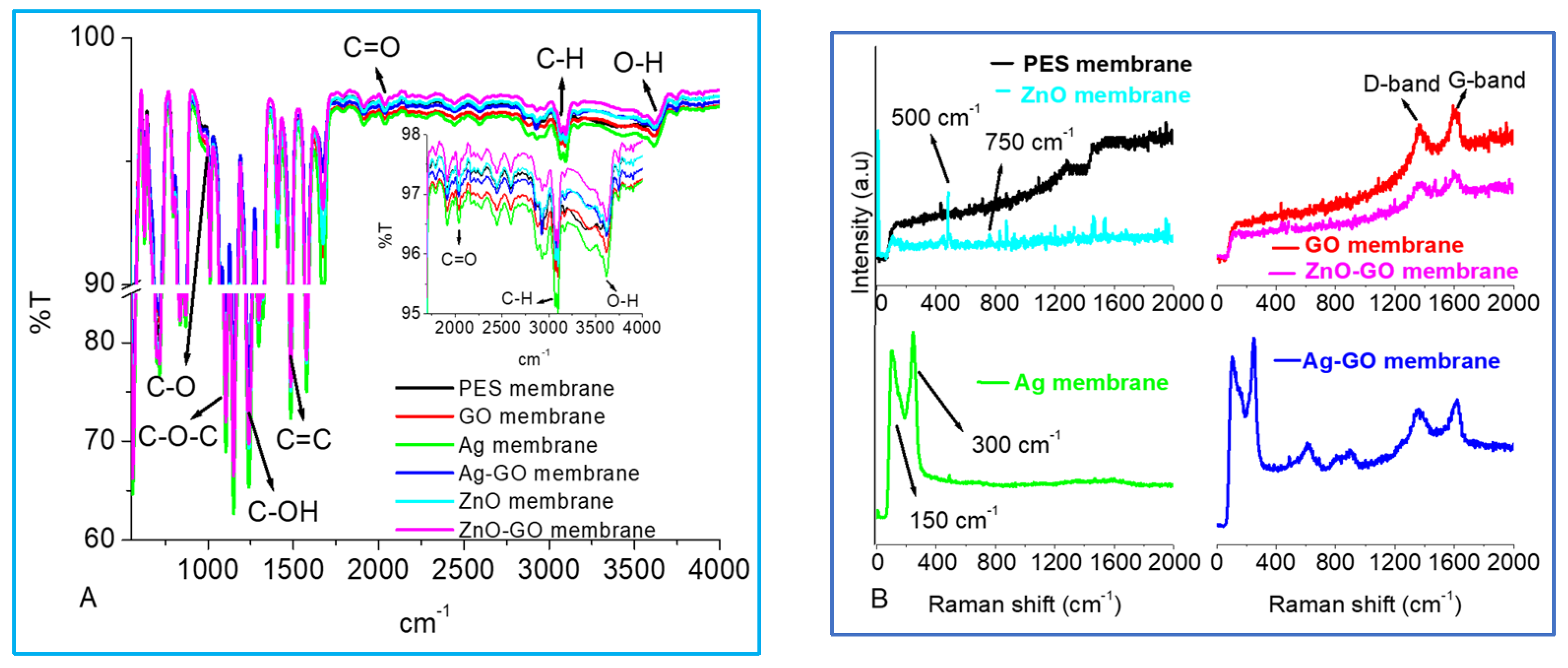 Membranes 13 00744 g002