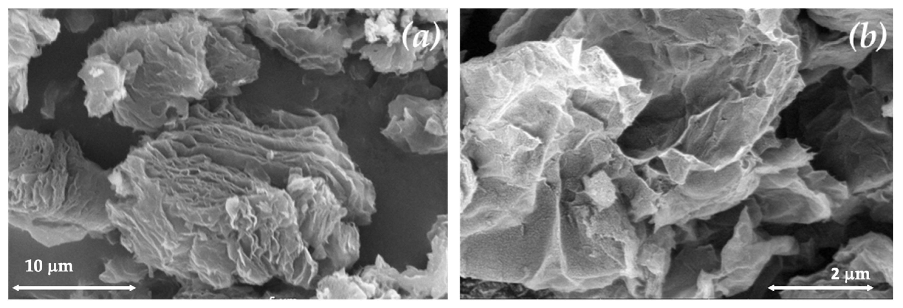 Membranes 13 00747 g003a