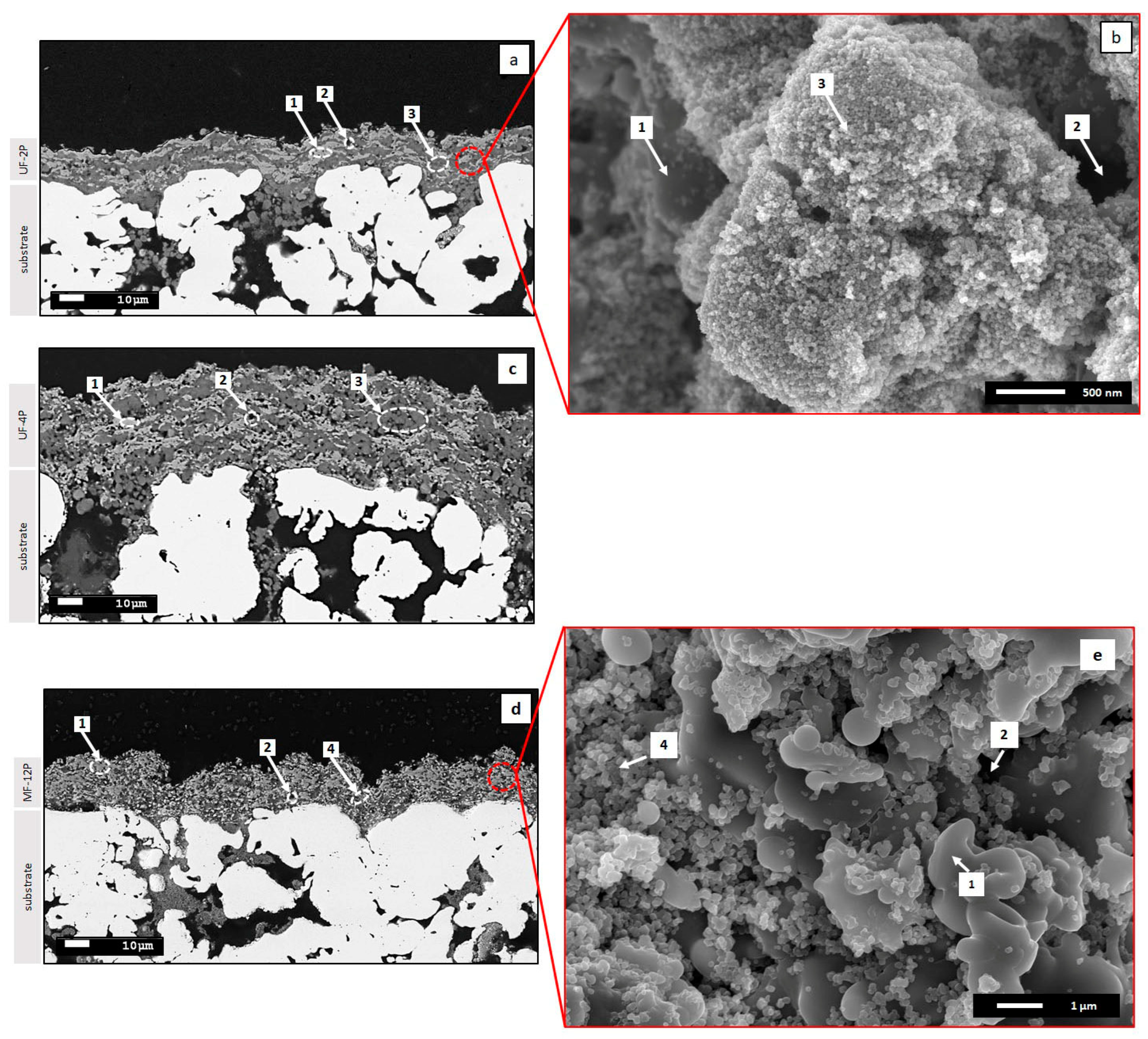 Membranes 13 00750 g001
