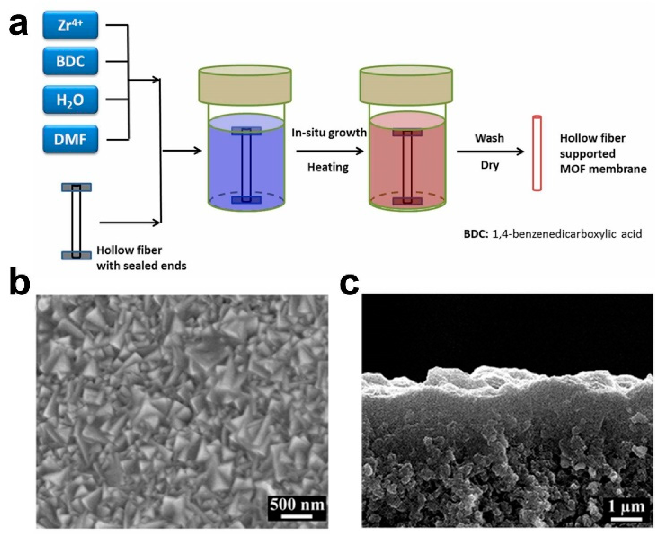 Membranes 13 00751 g002