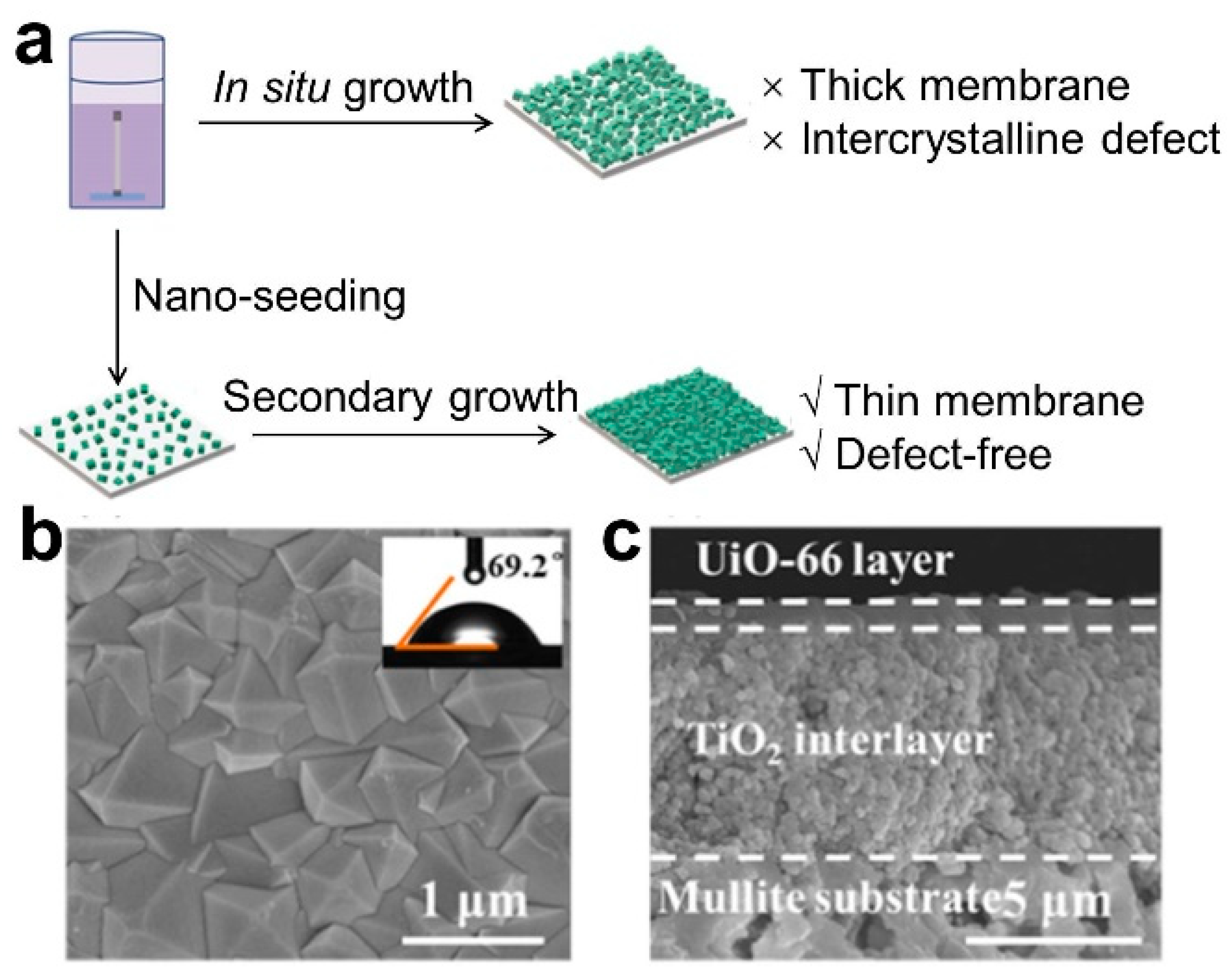 Membranes 13 00751 g003