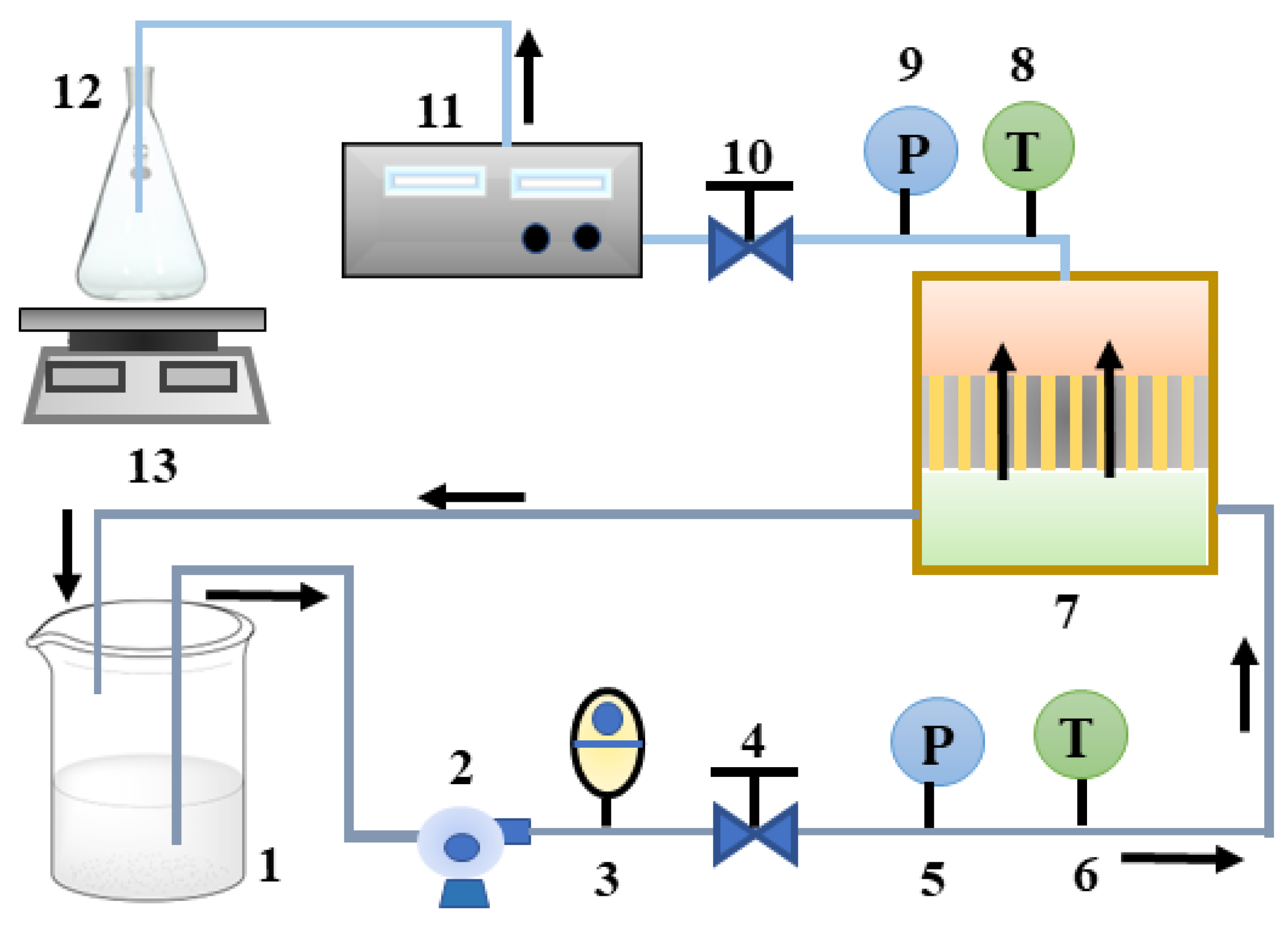 Membranes 13 00753 g001