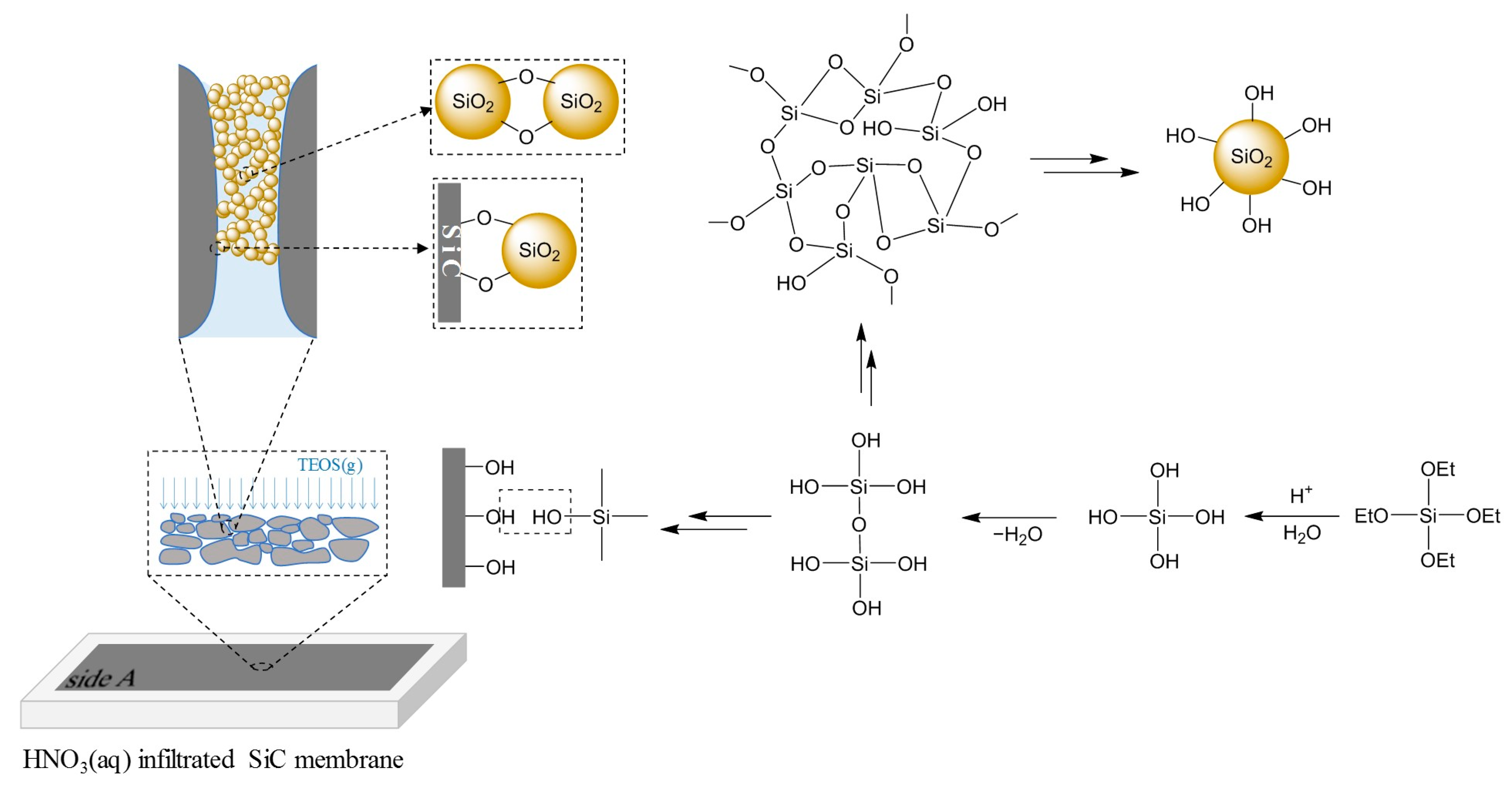 Membranes 13 00756 g003