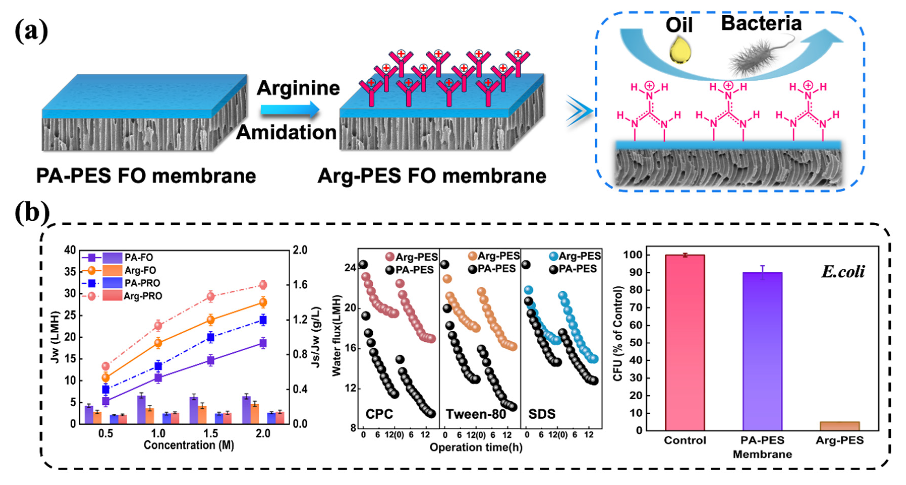 Membranes 13 00760 g001