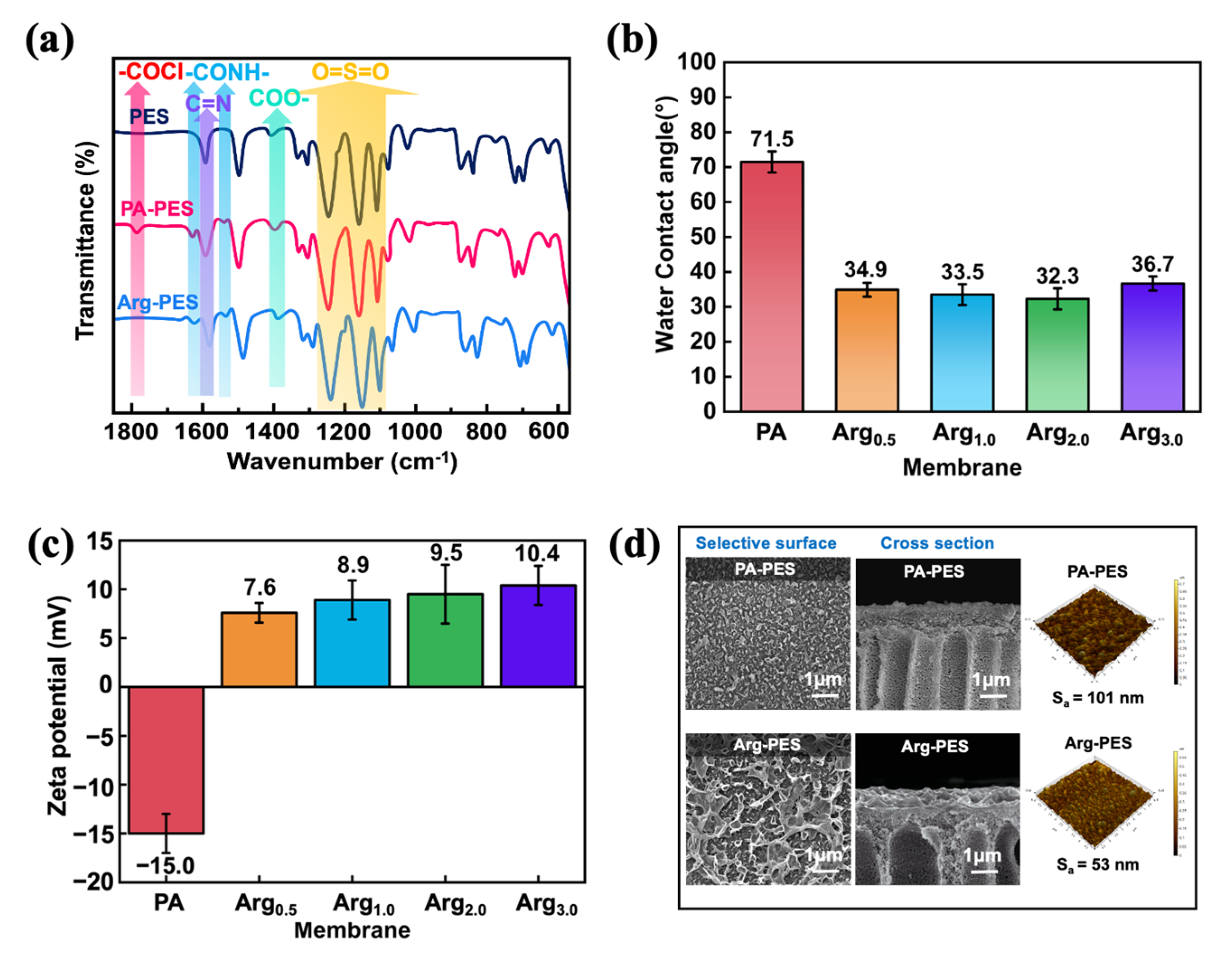 Membranes 13 00760 g003