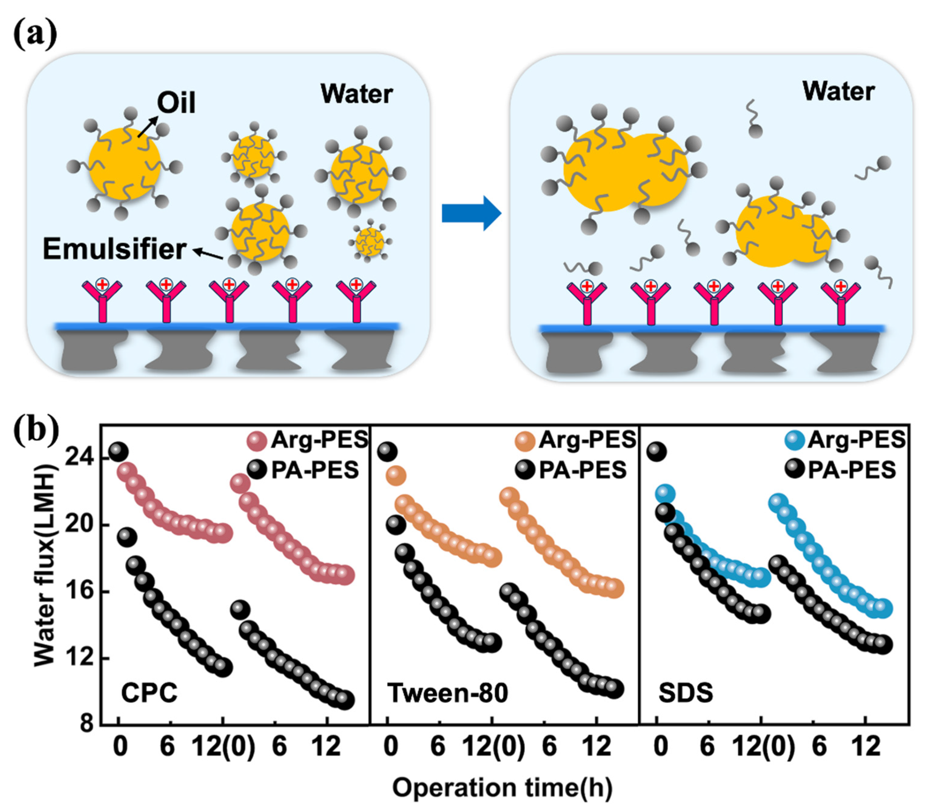 Membranes 13 00760 g007