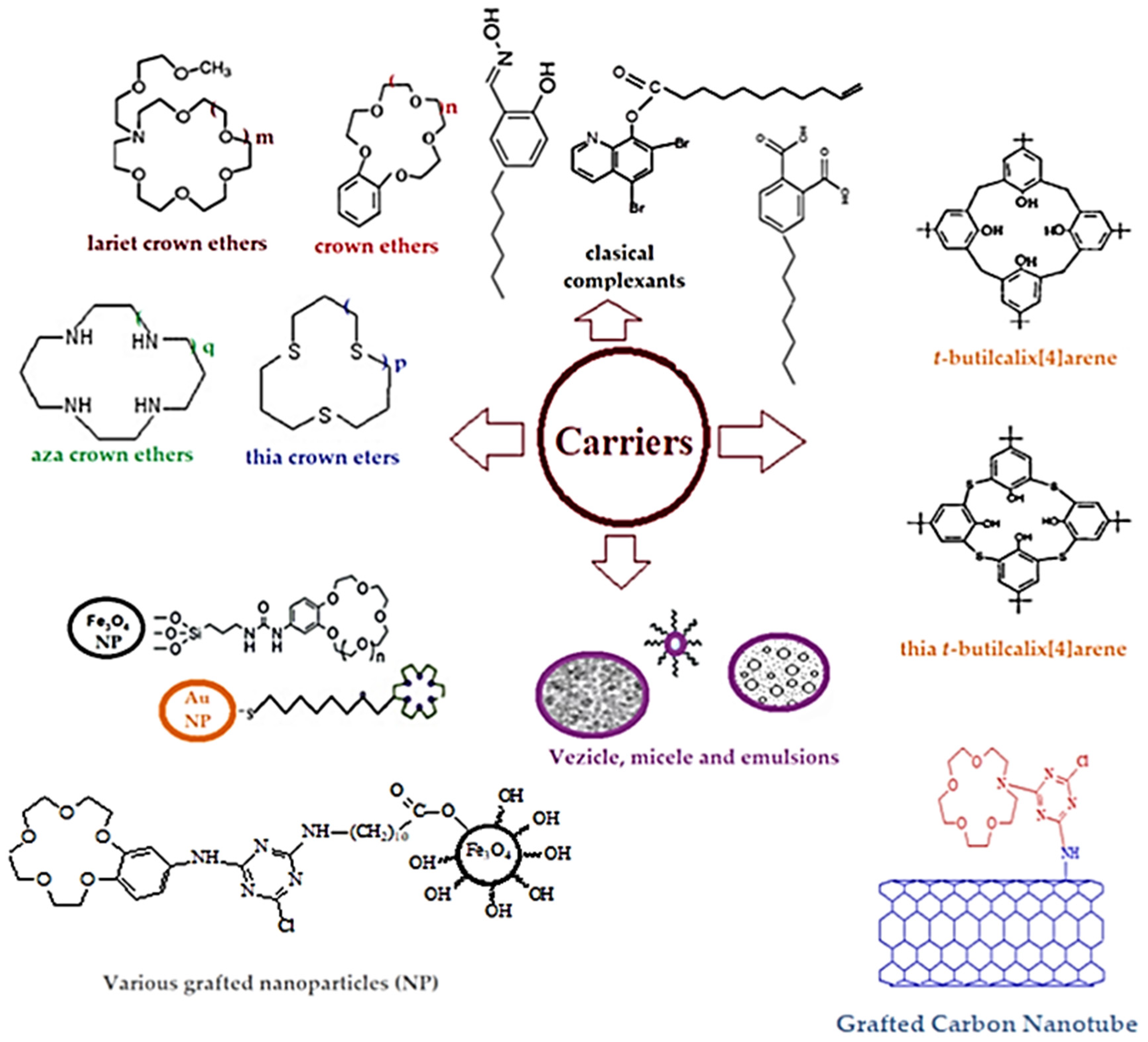 Membranes 13 00765 g008