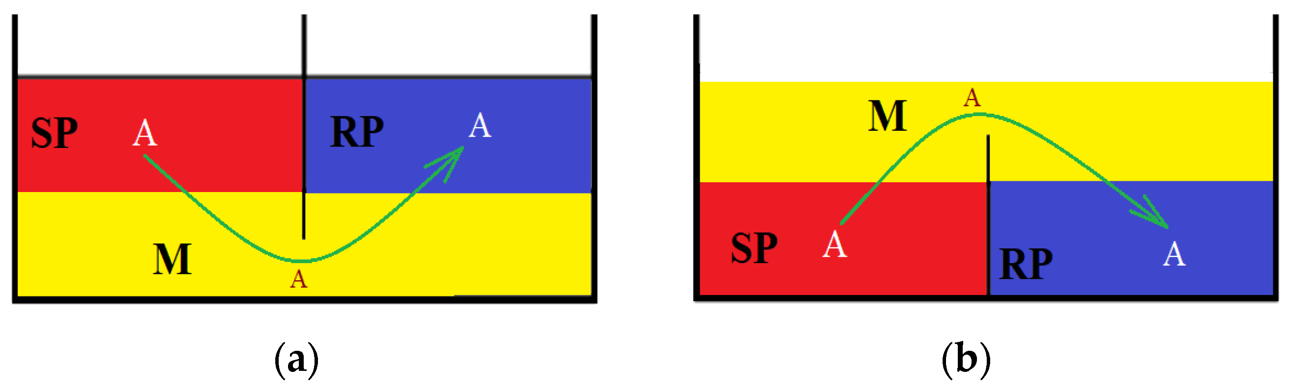 Membranes 13 00765 g010