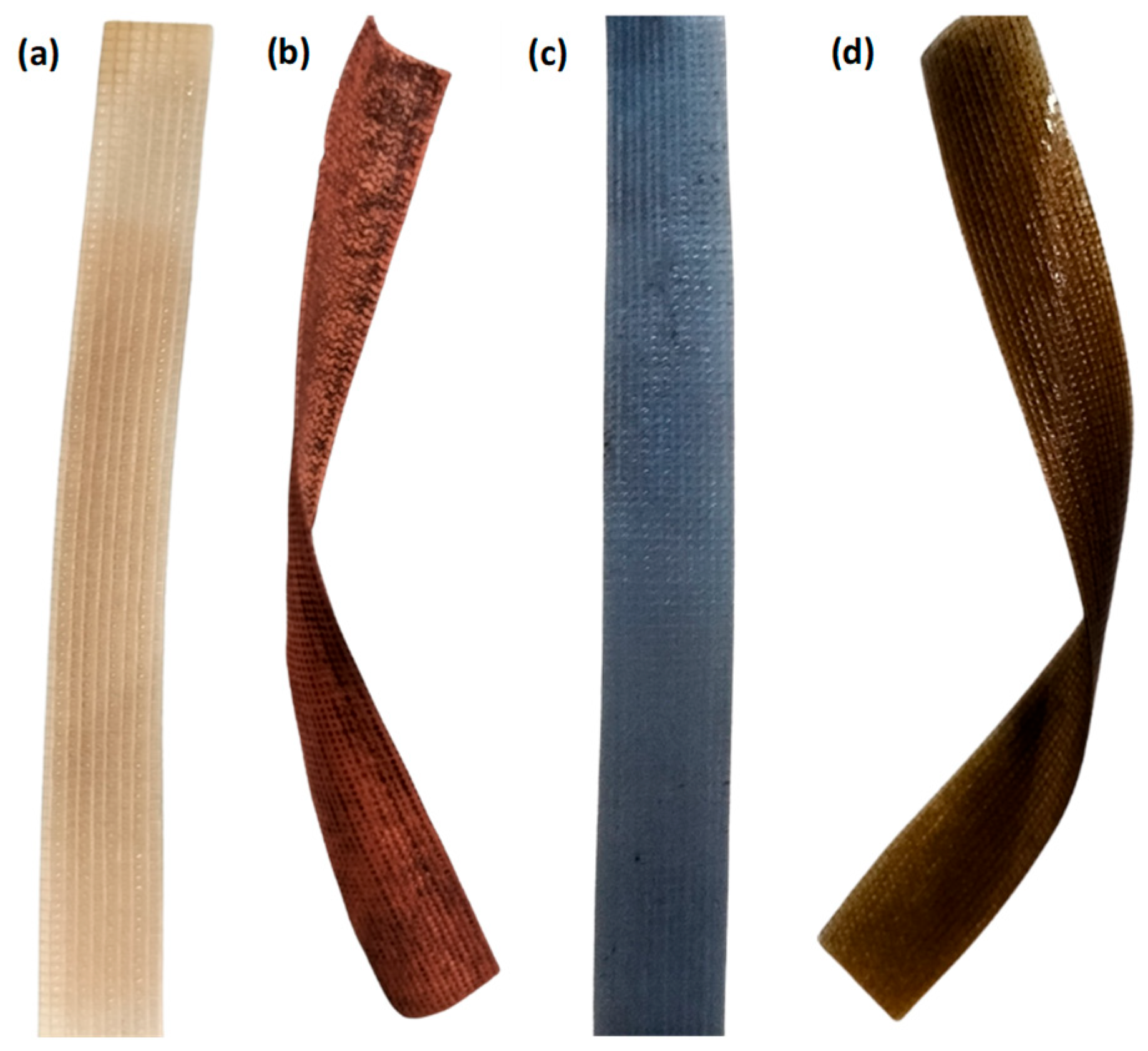 Membranes 13 00766 g002