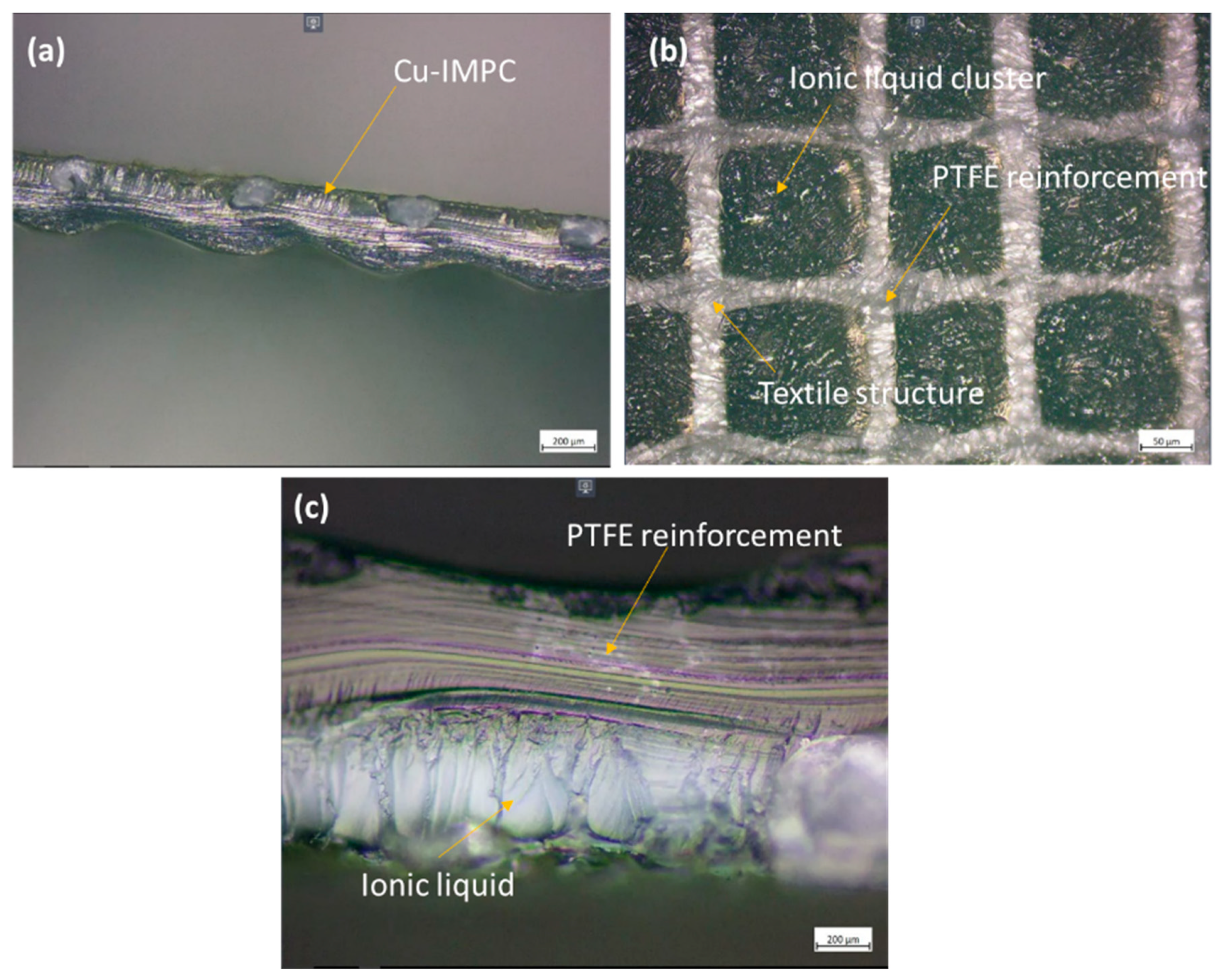 Membranes 13 00766 g003a