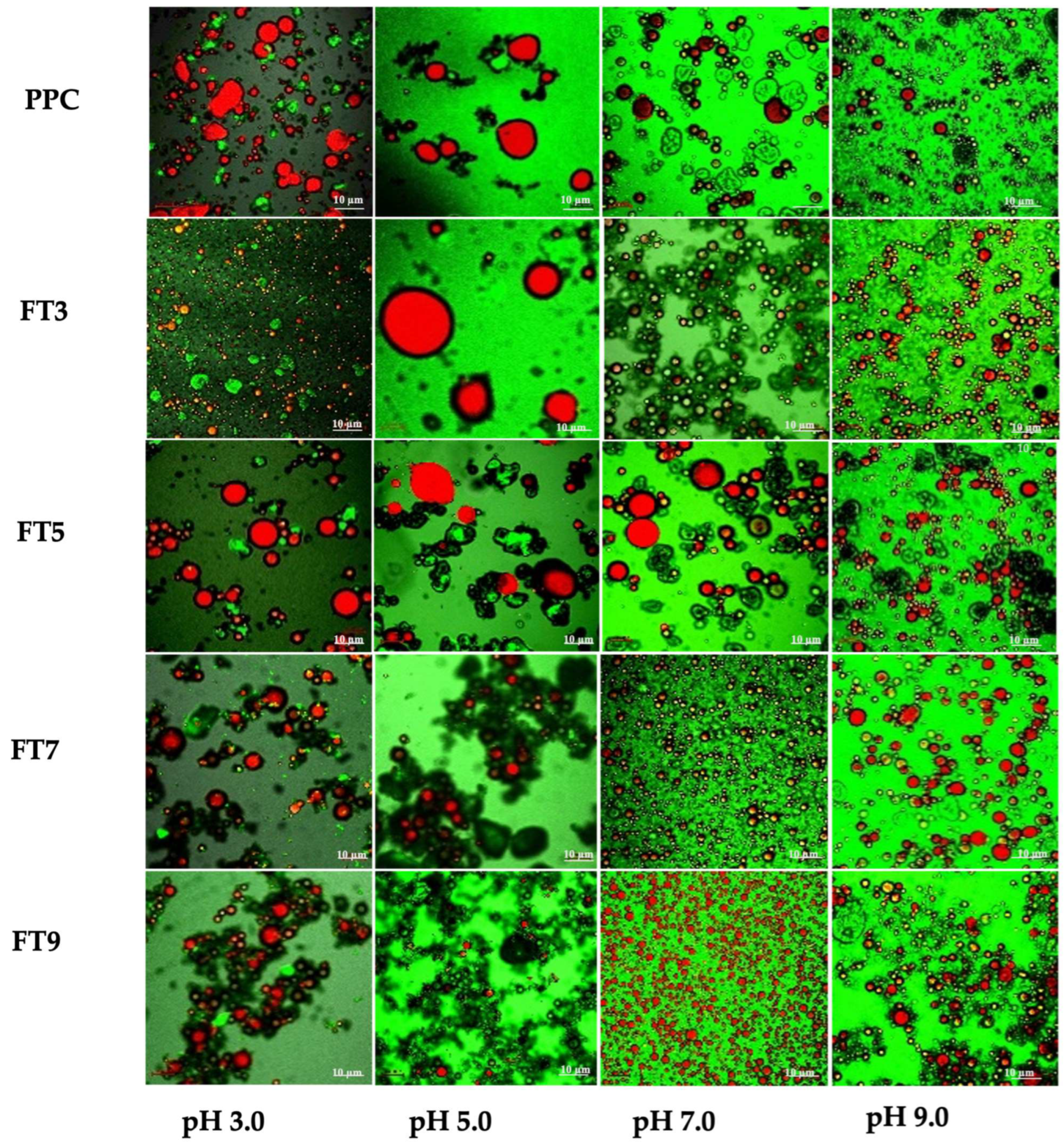 Membranes 13 00767 g003