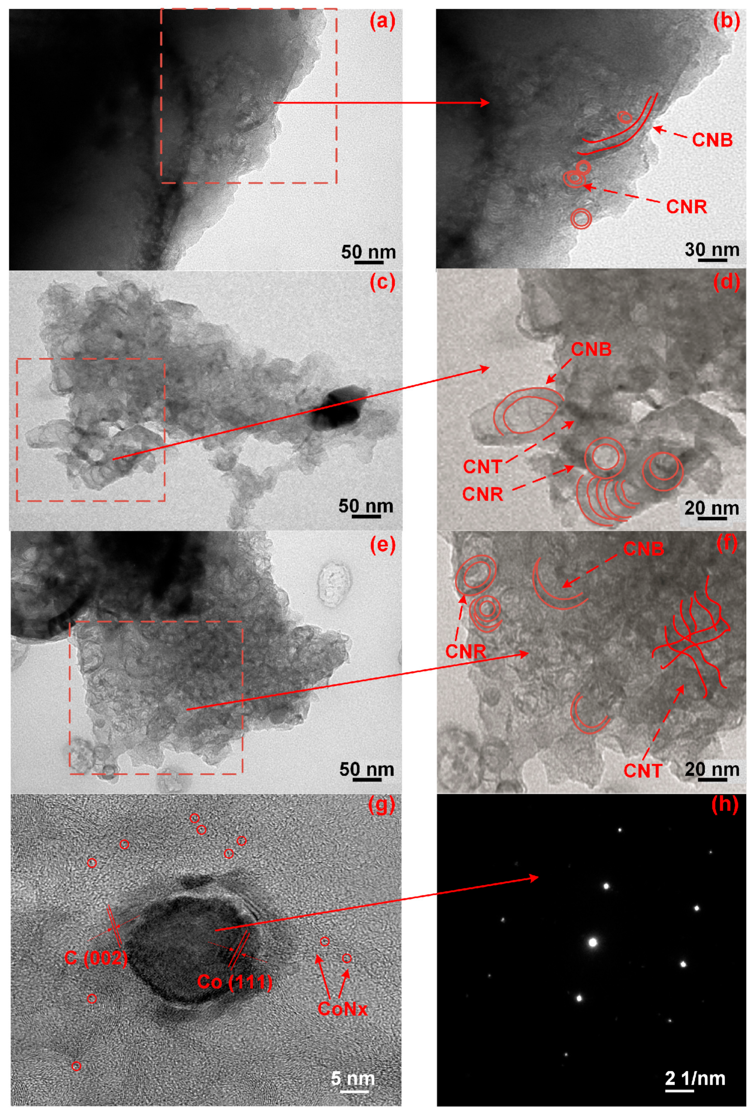 Membranes 13 00769 g004