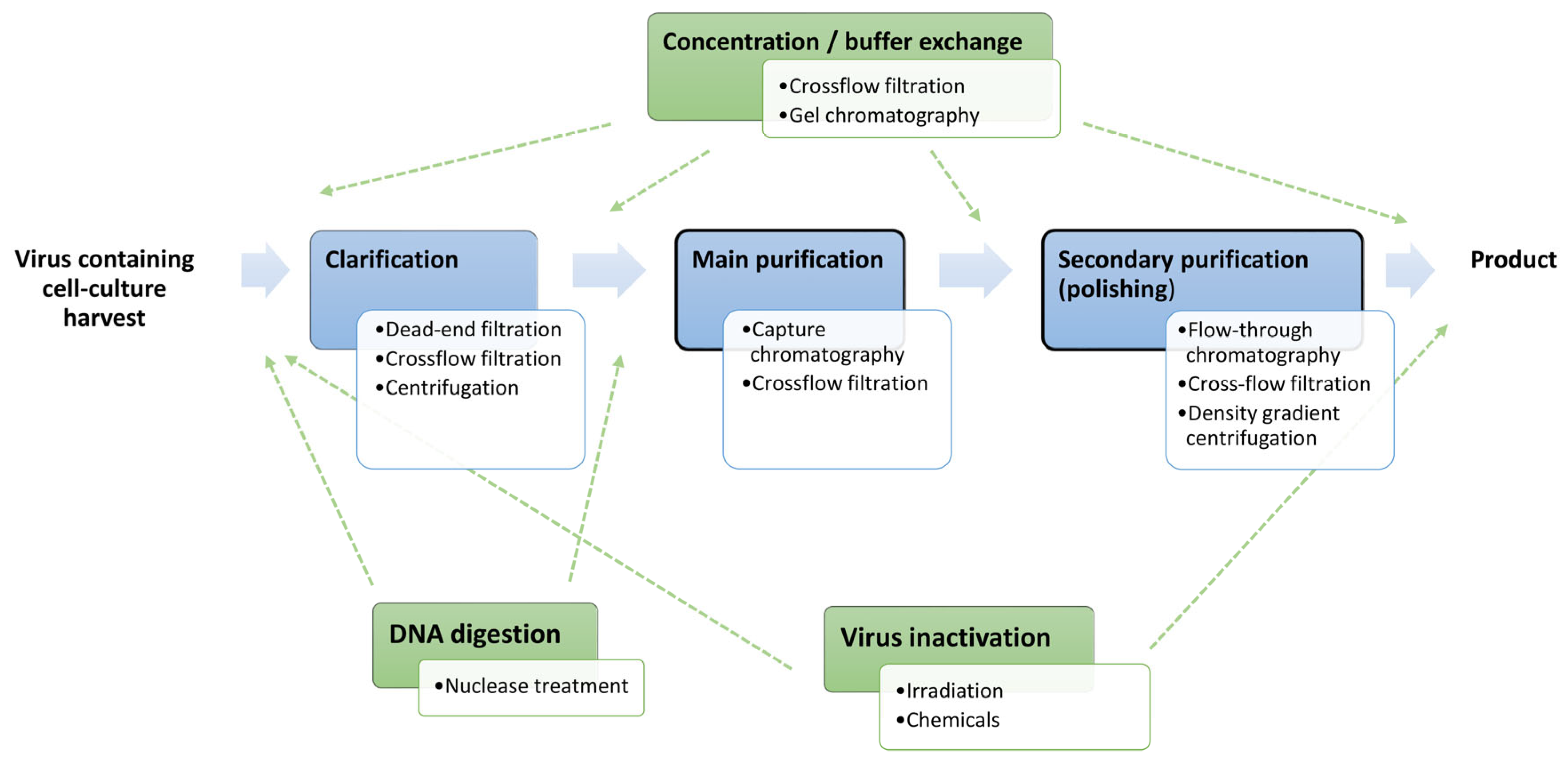 Membranes 13 00770 g001