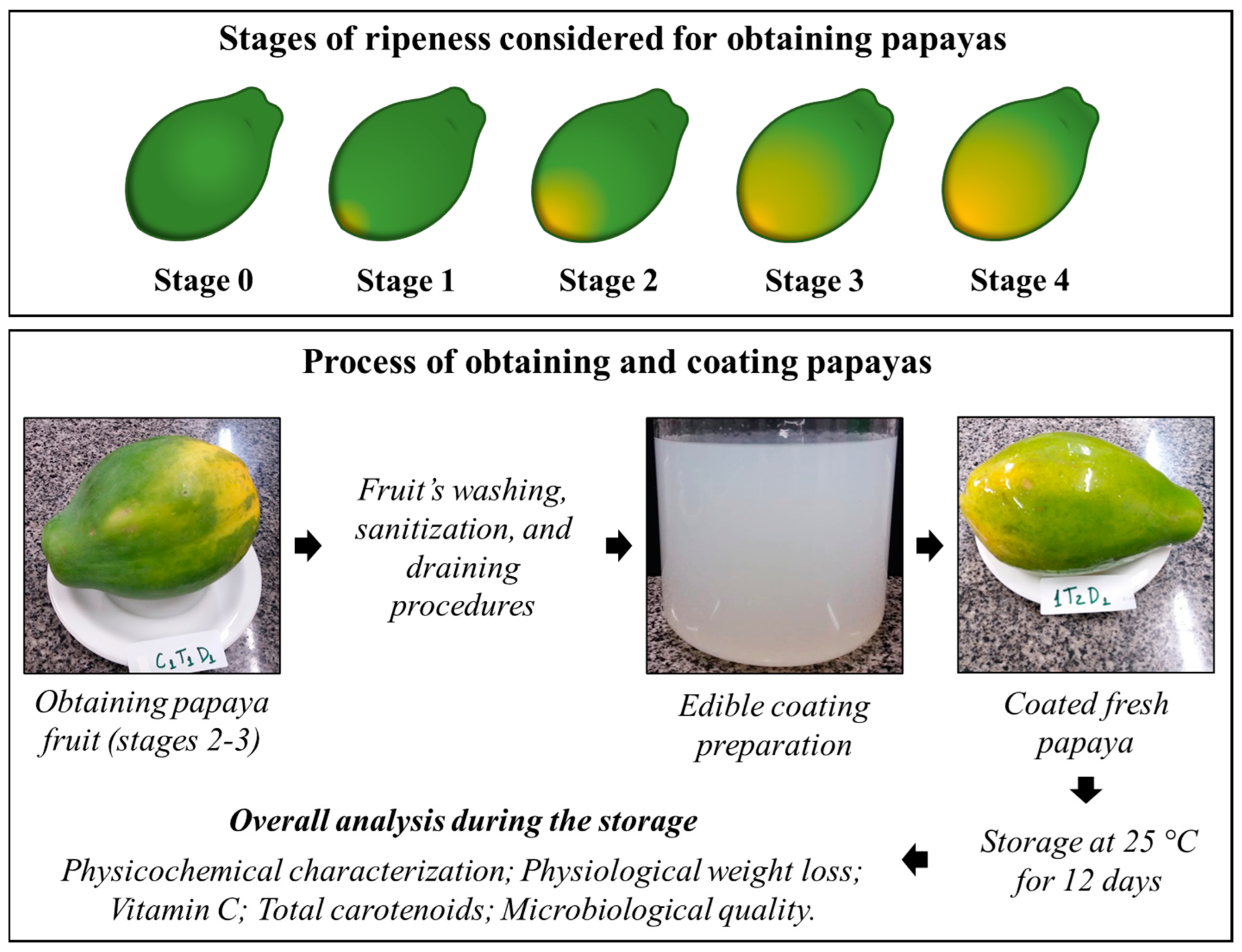 Membranes 13 00772 g001