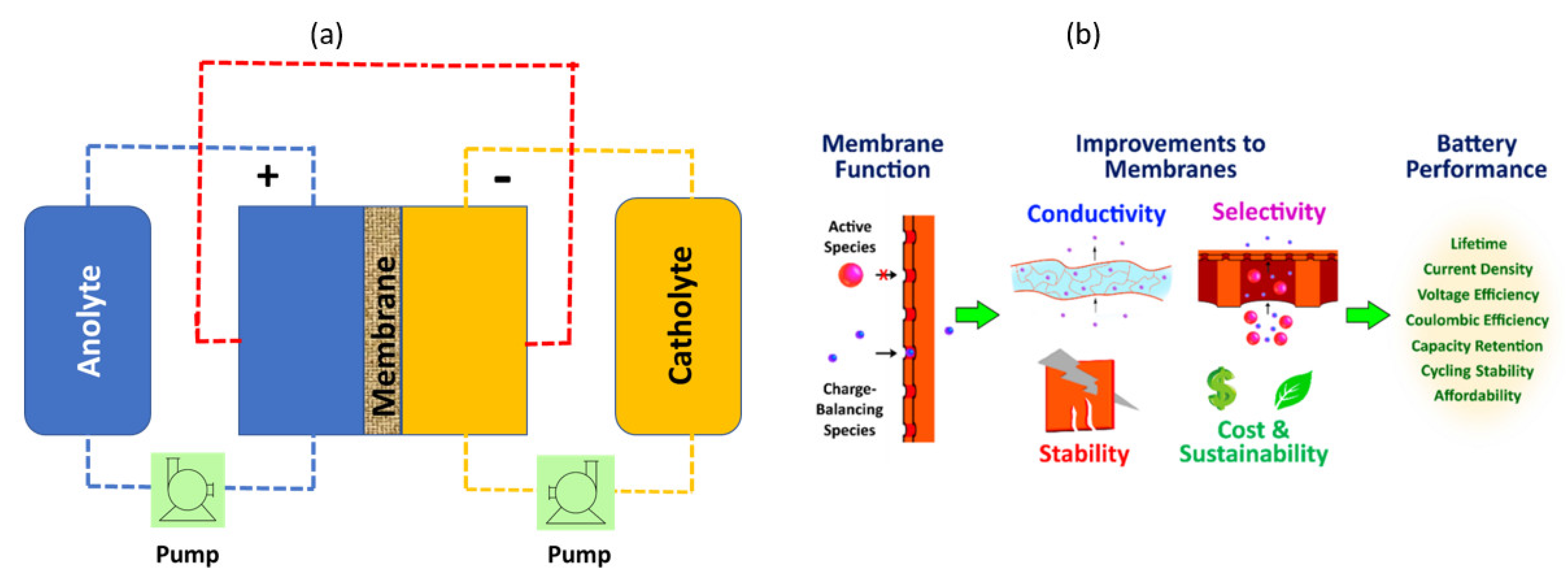 Membranes 13 00777 g002