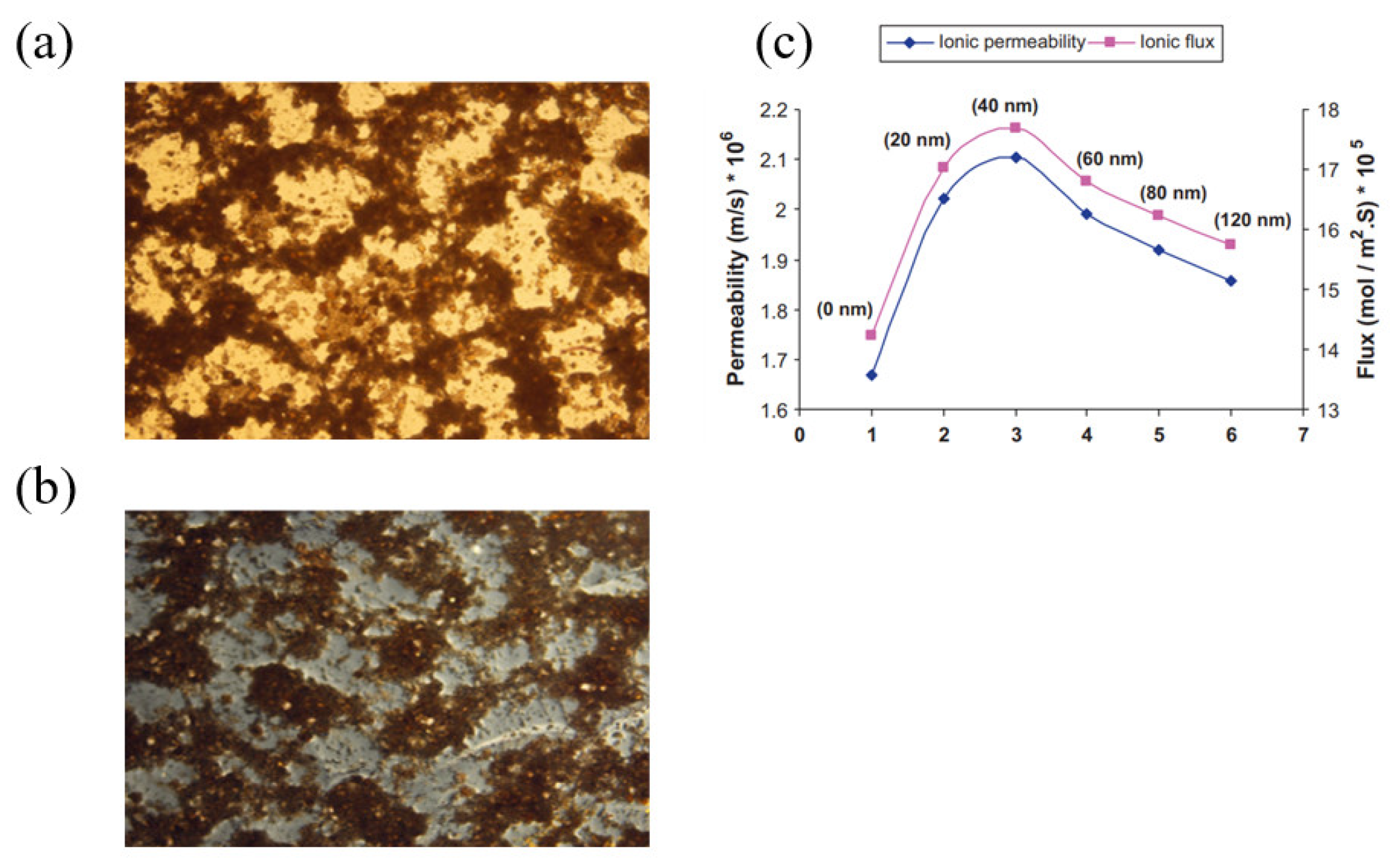 Membranes 13 00777 g004