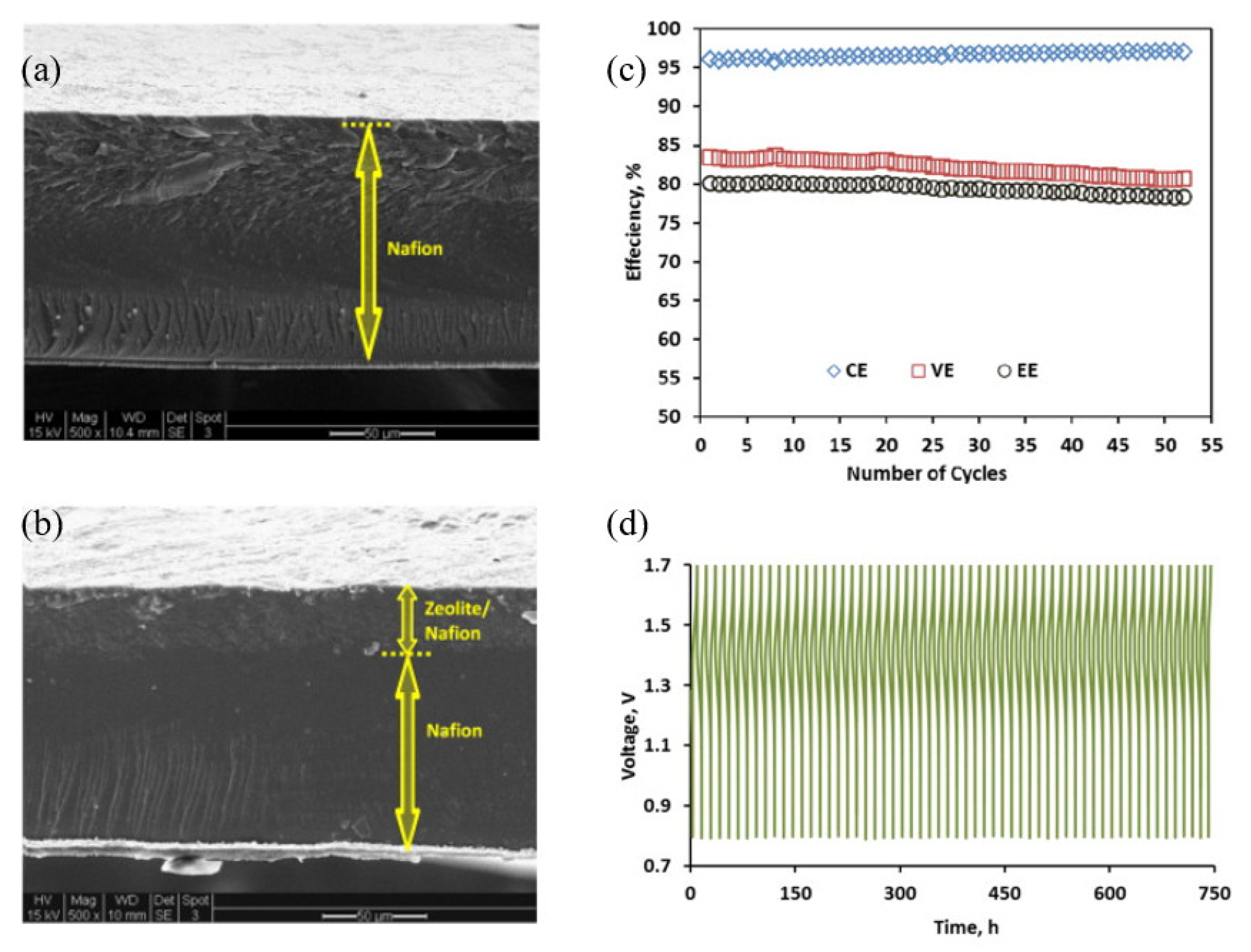 Membranes 13 00777 g007