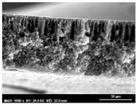 Membranes 13 00780 i001