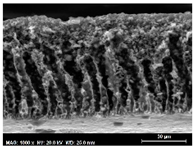 Membranes 13 00780 i005
