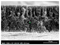 Membranes 13 00780 i008
