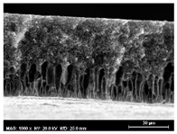 Membranes 13 00780 i010