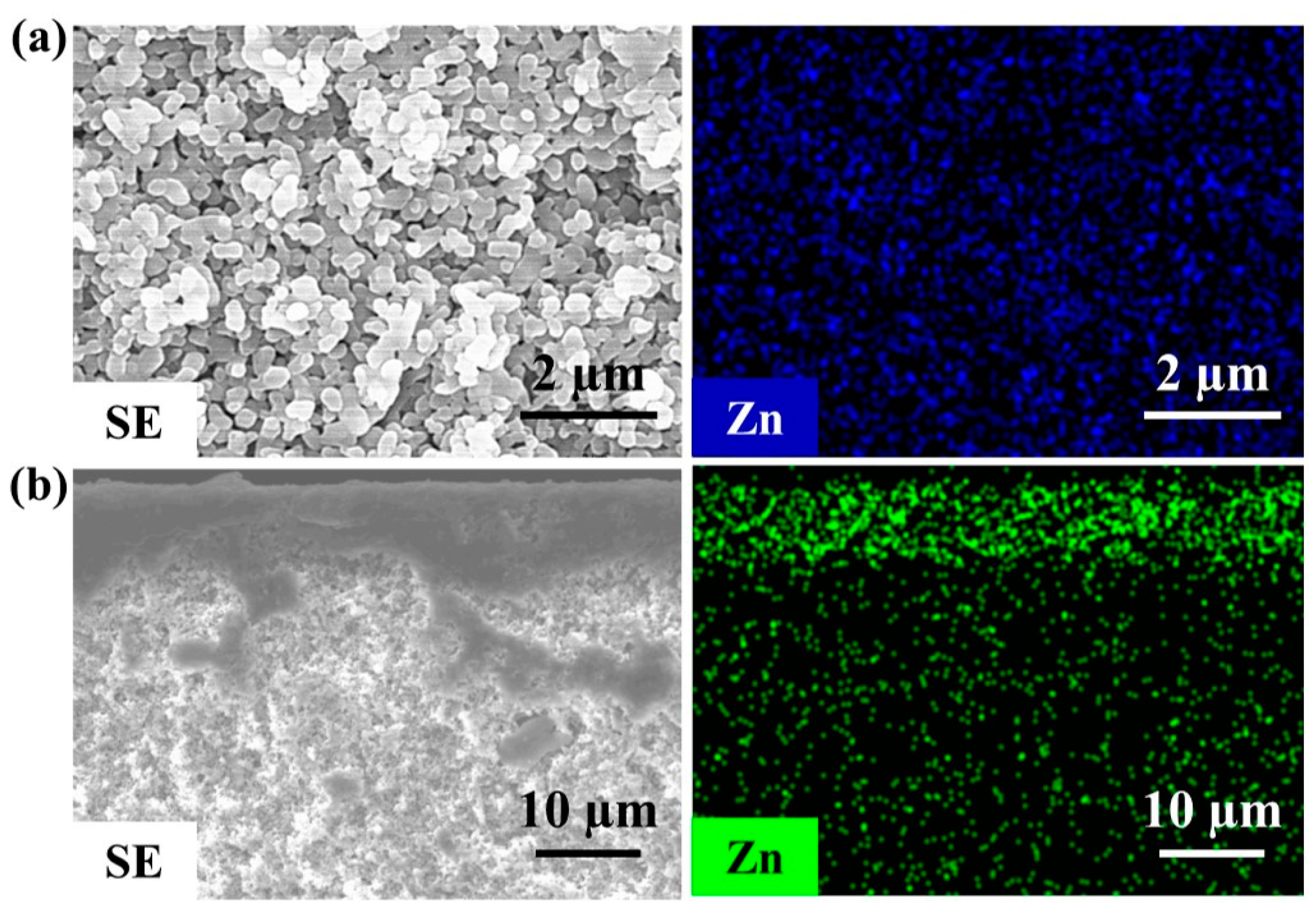 Membranes 13 00782 g003 Membranes 13 00782 g003