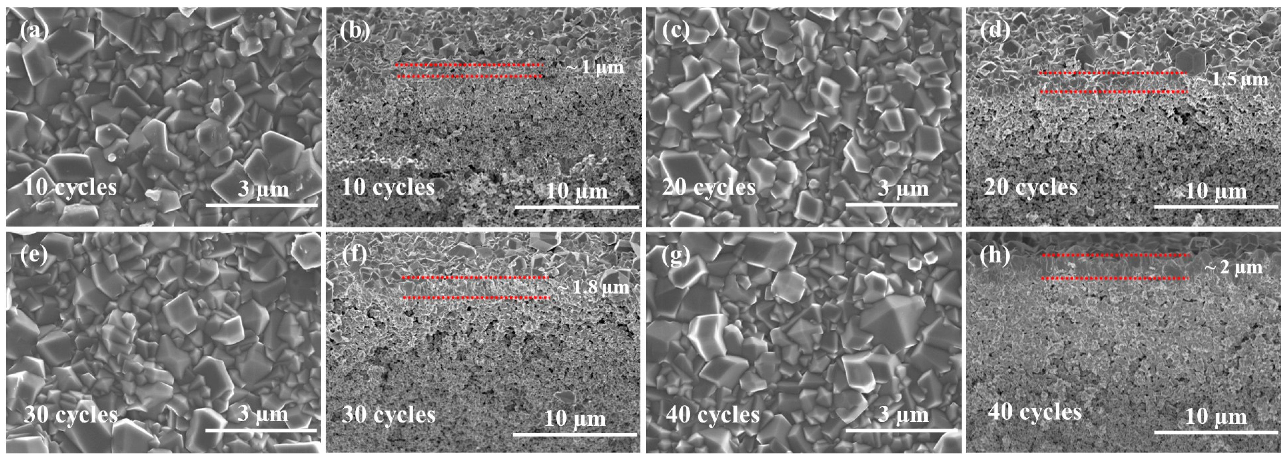Membranes 13 00782 g006 Membranes 13 00782 g006