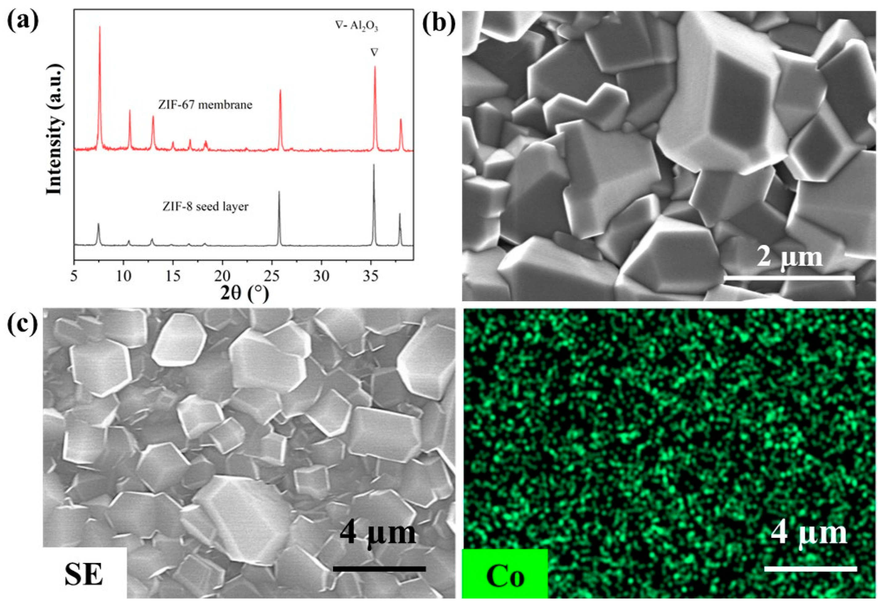 Membranes 13 00782 g009 Membranes 13 00782 g009