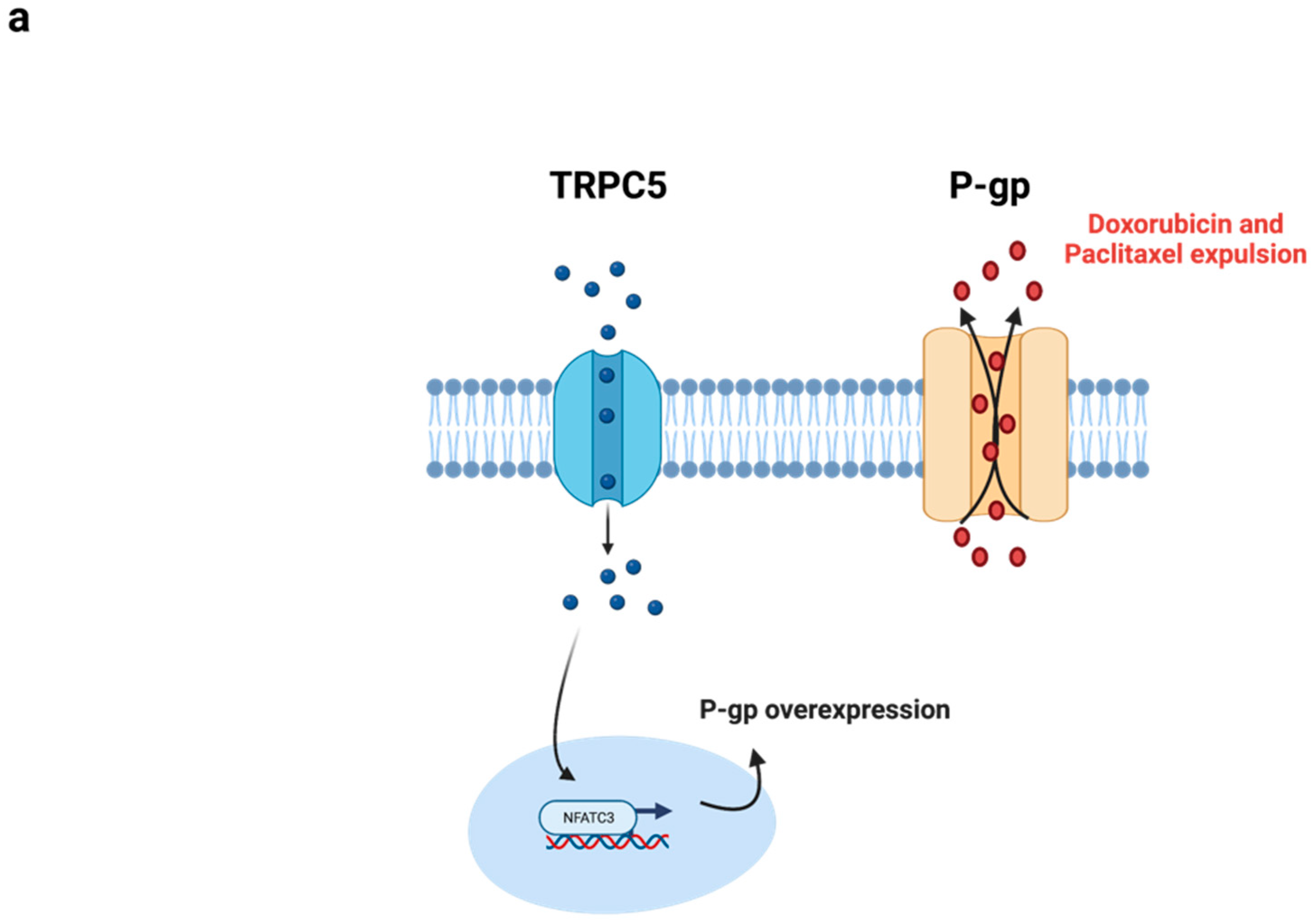 Membranes 13 00788 g002a