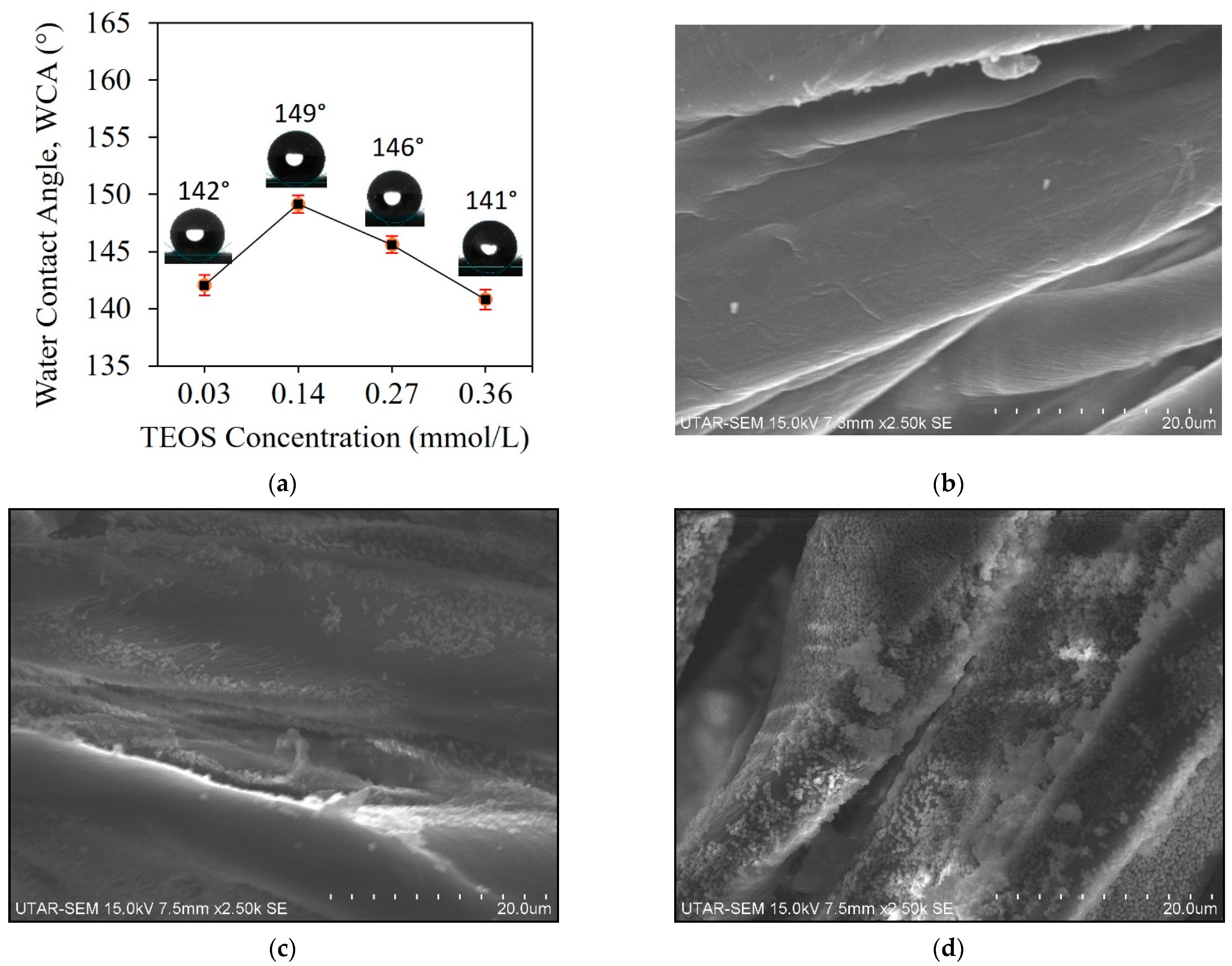 Membranes 13 00793 g002a